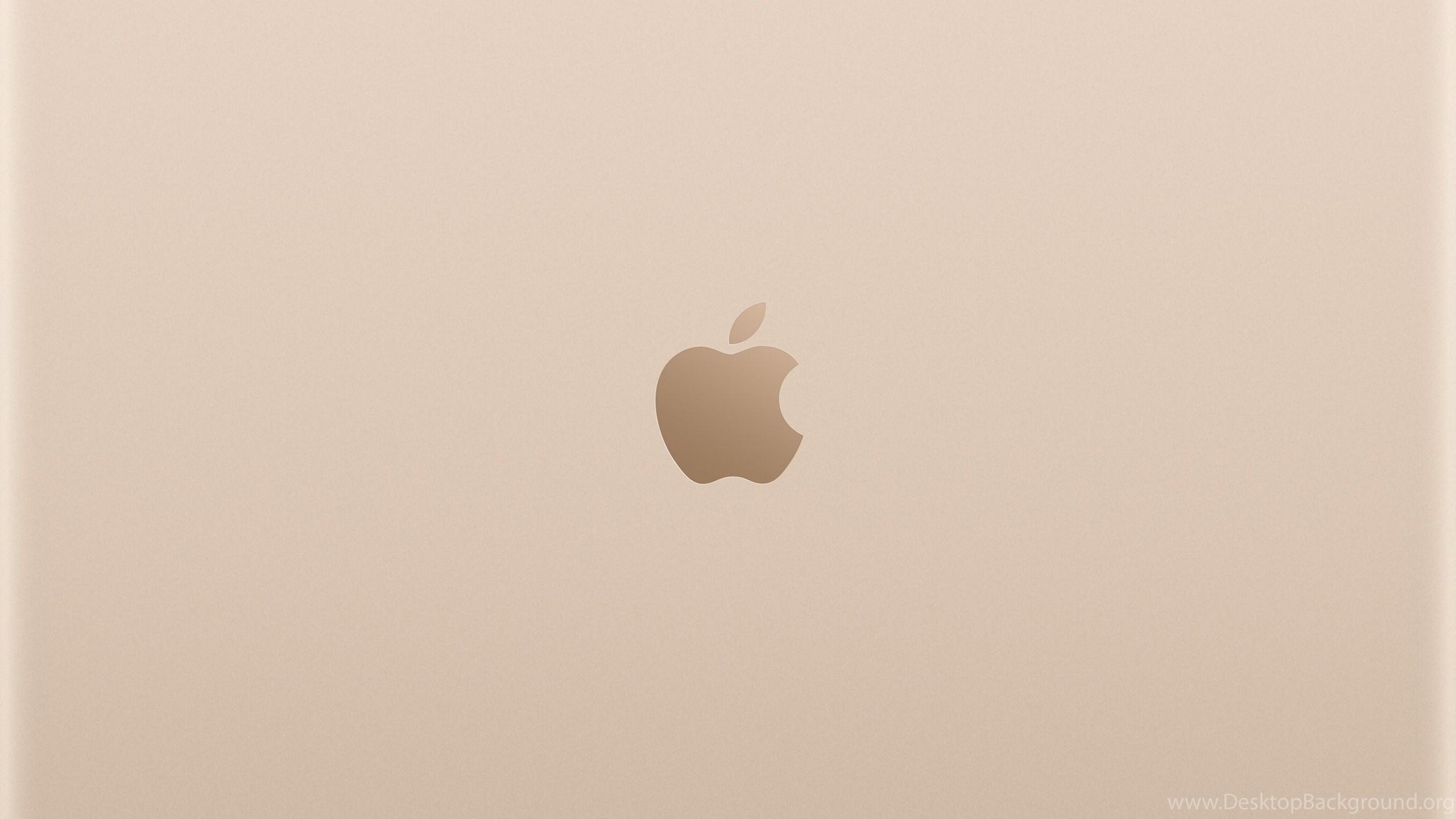 2560x1440 New Macbook Wallpaper For IPad, IPhone, And Desktop Desktop Background