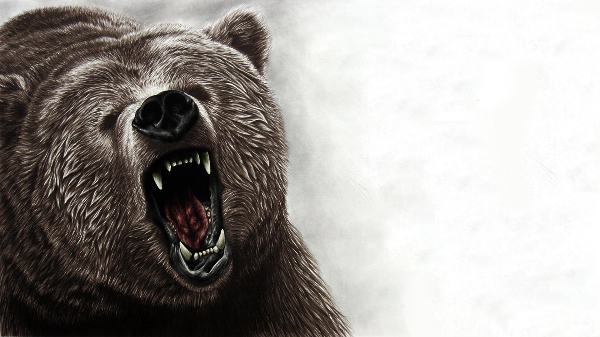 1920x1080 Free download Bear Computer Wallpaper Desktop Background 1920x1080 ID346283 [1920x1080] for your Desktop, Mobile & Tablet. Explore Bears Desktop Wallpaper. Black Bear Wallpaper, Pooh Bear Wallpaper Desktop, Free Bear