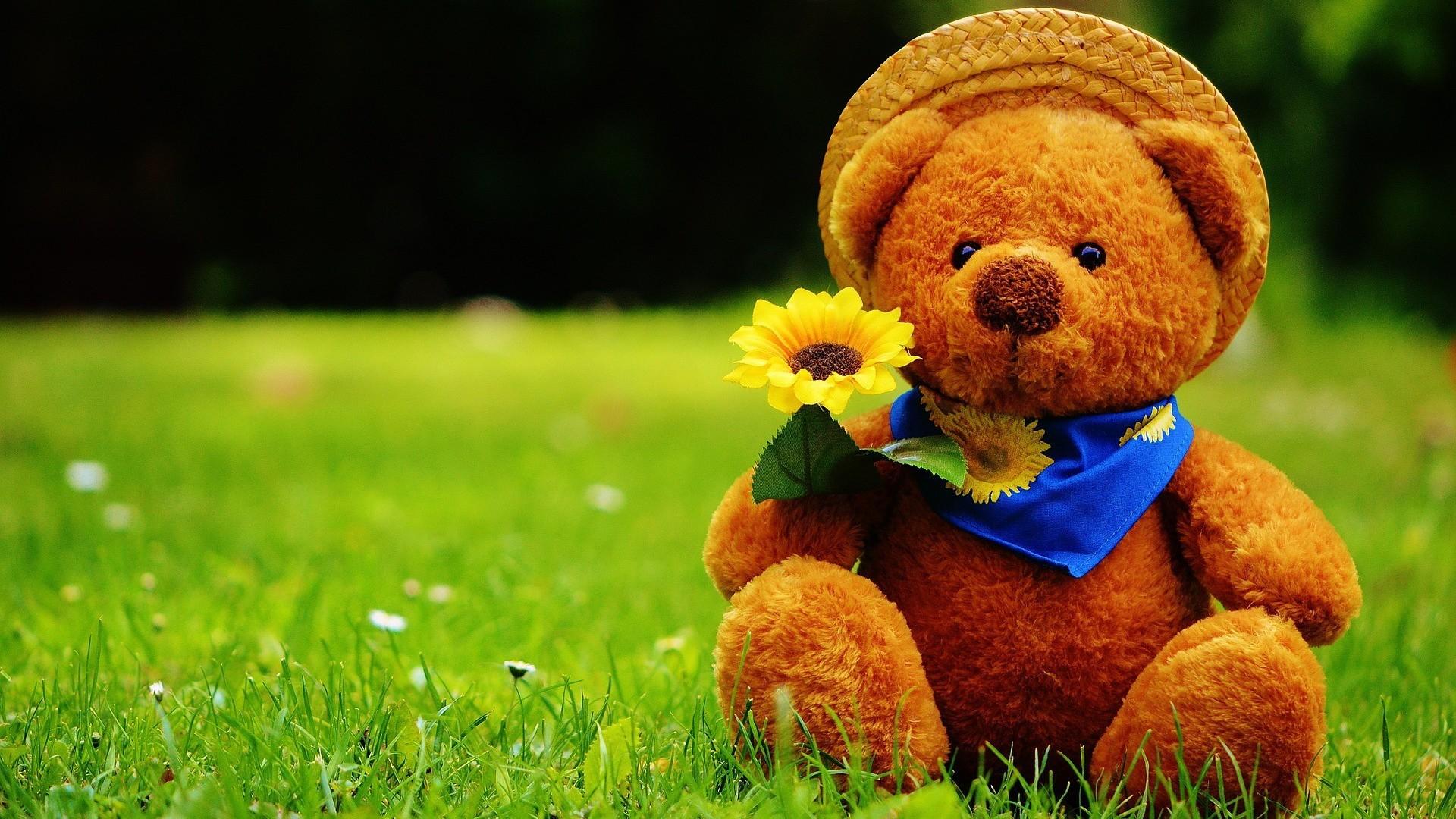 1920x1080 Computer Wallpaper Cute Teddy Bear Cute Wallpaper