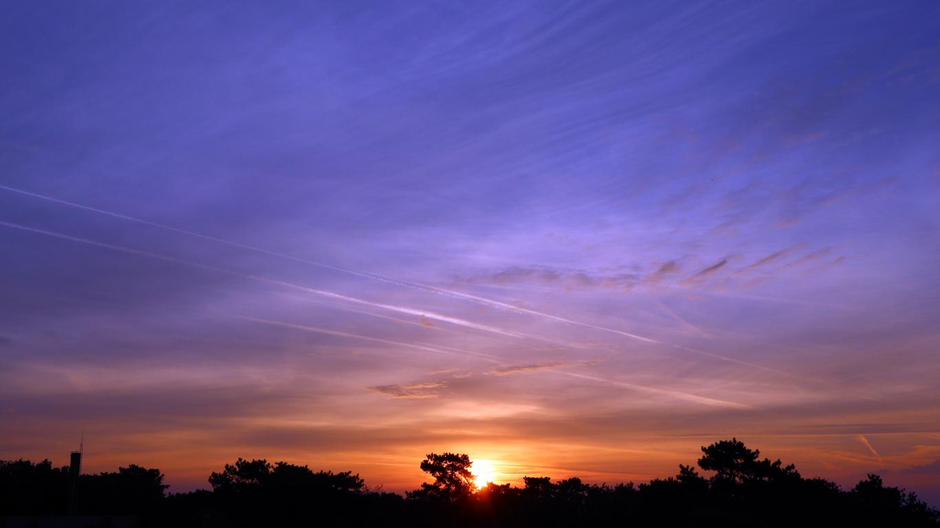 1366x768 Download Violet sky, sunset, nature, silhouette wallpaper, 1366x Tablet, laptop