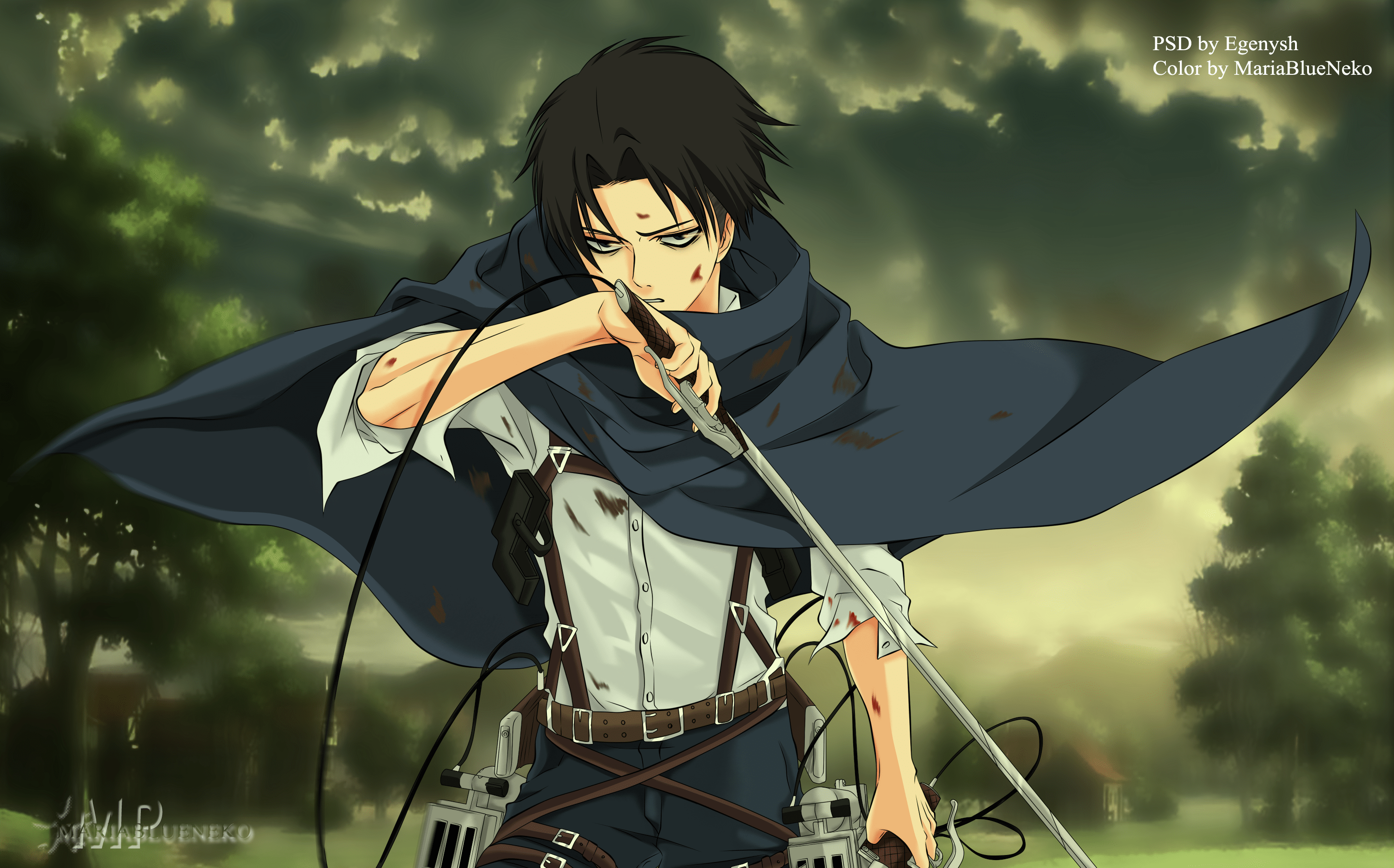 3000x1868 Levi Ackerman Wallpaper HD