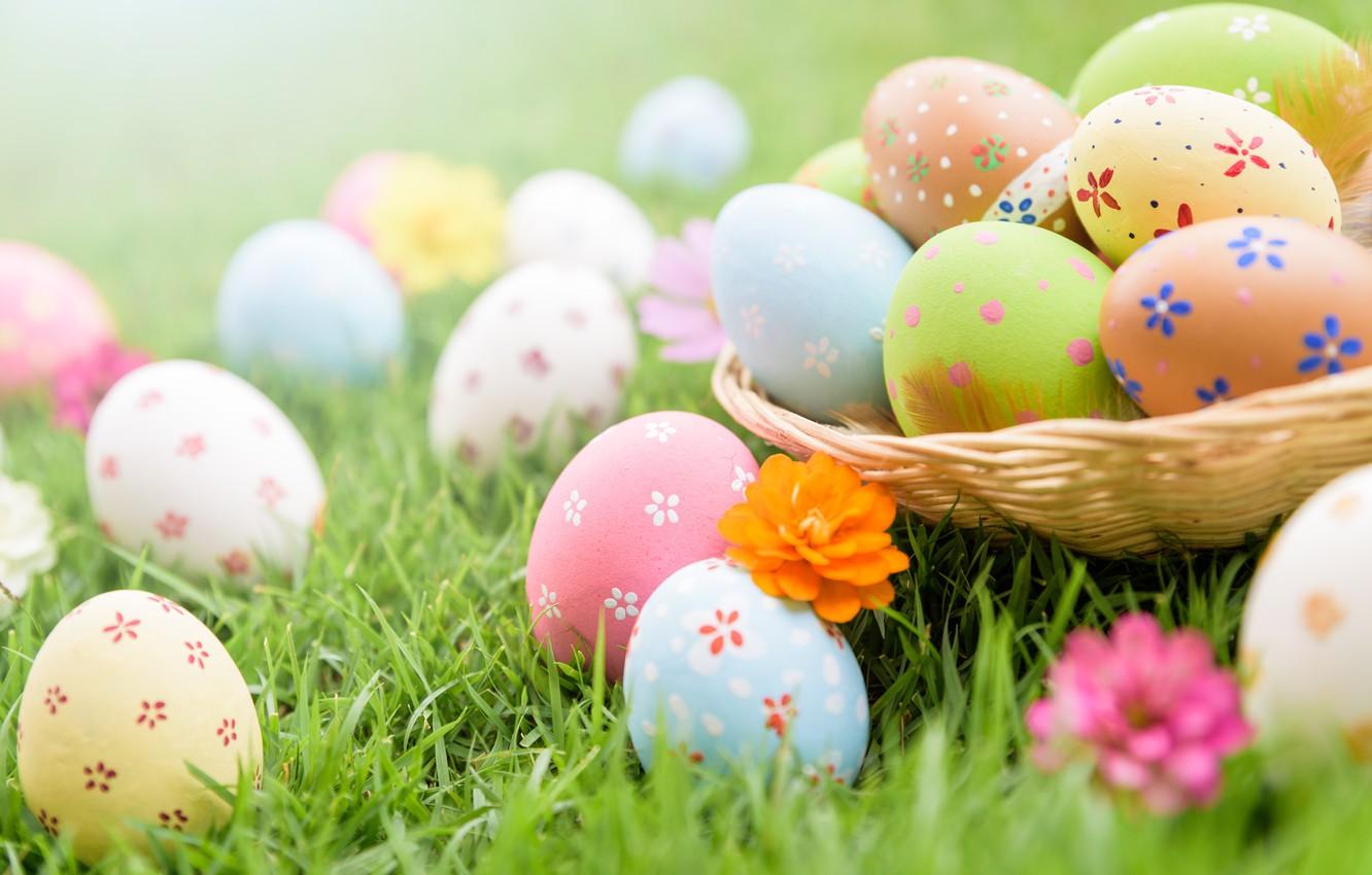 Cute Easter Spring Wallpapers - Top Free Cute Easter Spring Backgrounds ...