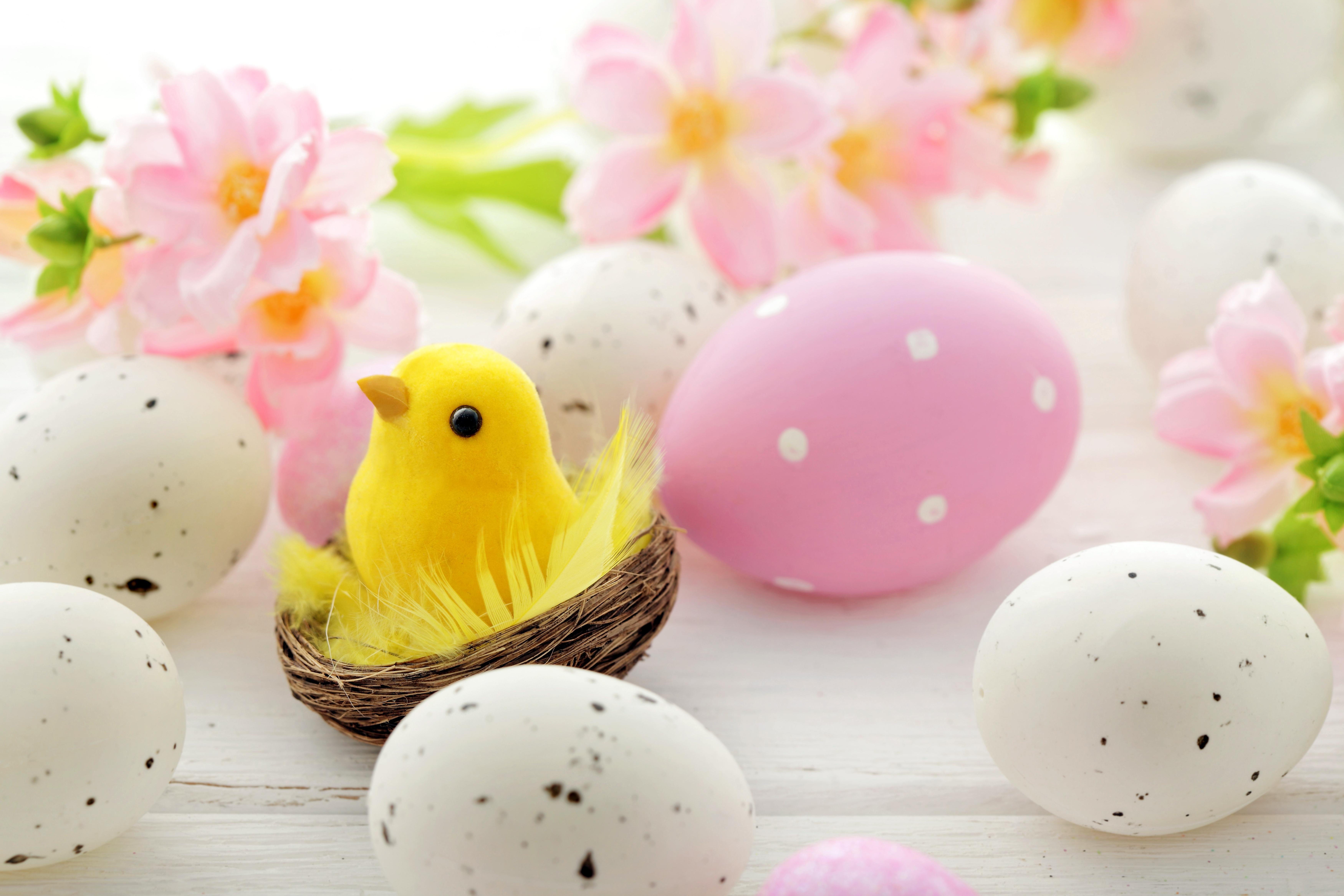 Cute Easter Spring Wallpapers  Top Free Cute Easter Spring Backgrounds   WallpaperAccess