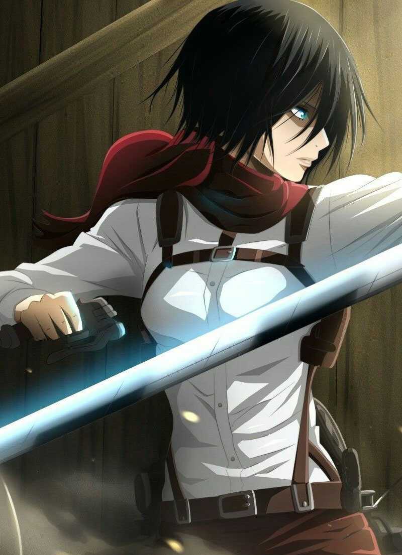 800x1106 Mikasa Ackerman Background Free HD Wallpaper