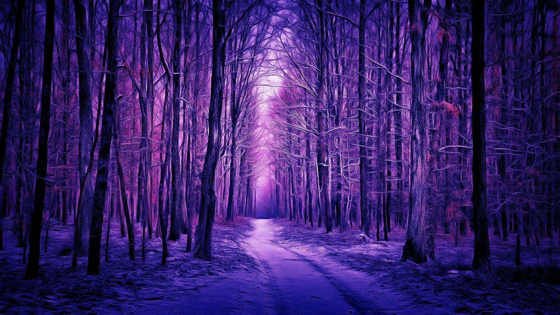1920x1080 purple landscape purple forest forest path #woods #woodland #forest #path #pathway #winter #snow digital painting di. Forest path, Purple trees, Forest background