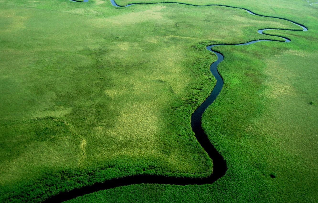 1332x850 Wallpaper river, jungle, windows, windows - for desktop, section пейзажи