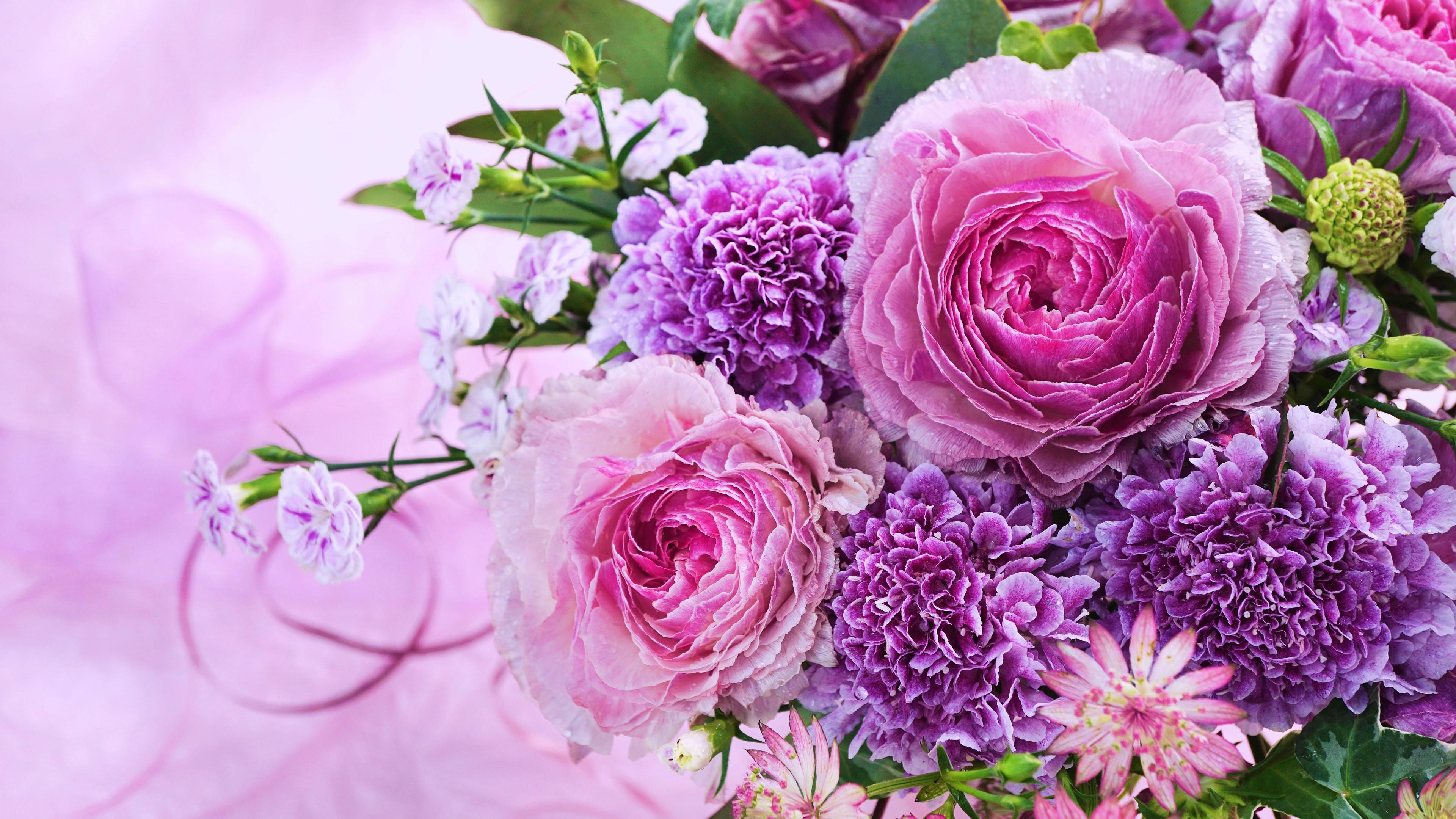 3840x2160 Pink and Purple Flowers 4k Ultra HD Wallpaper
