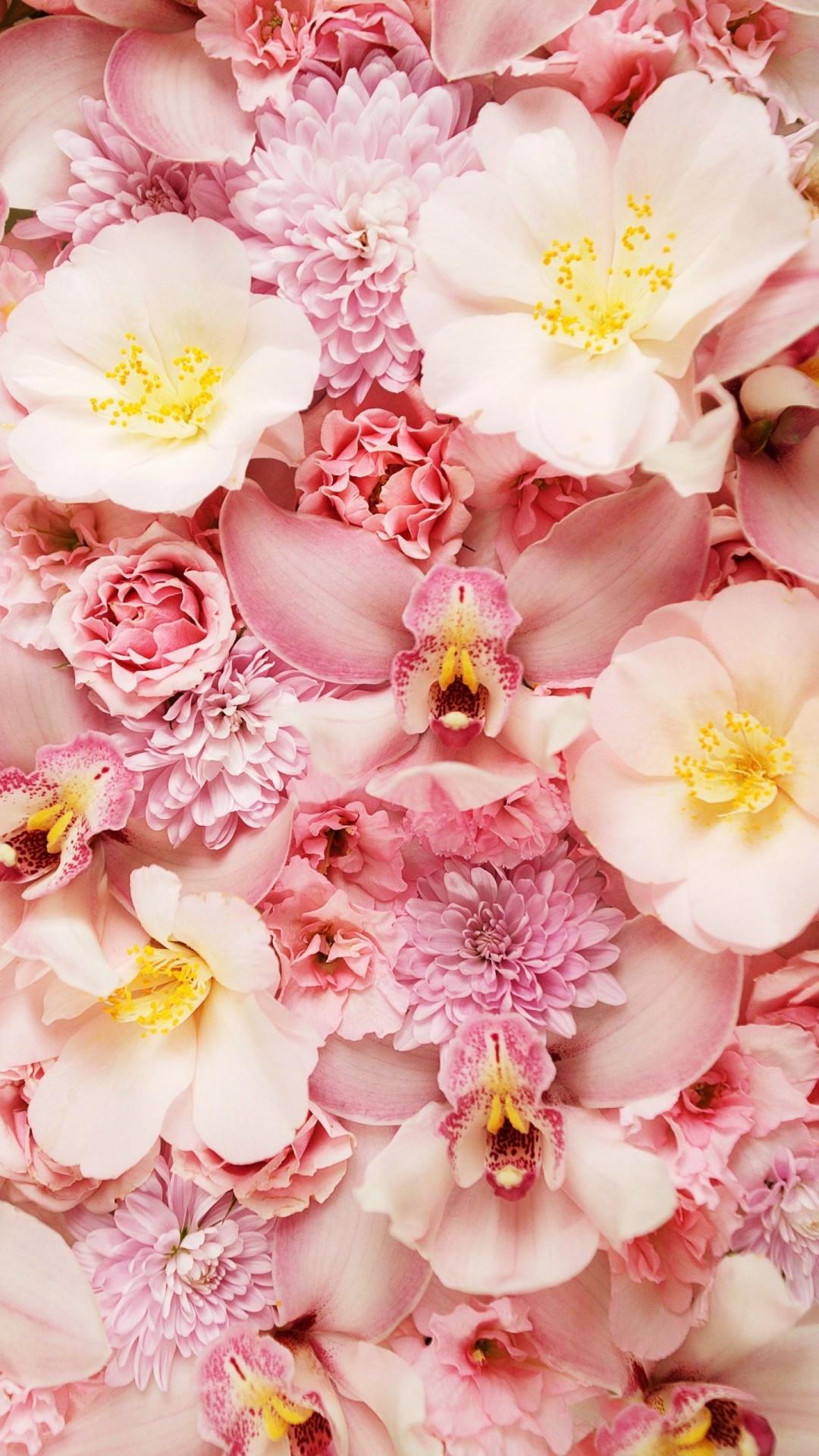 1080x1920 Pink Flower Phone Background Cute Wallpaper