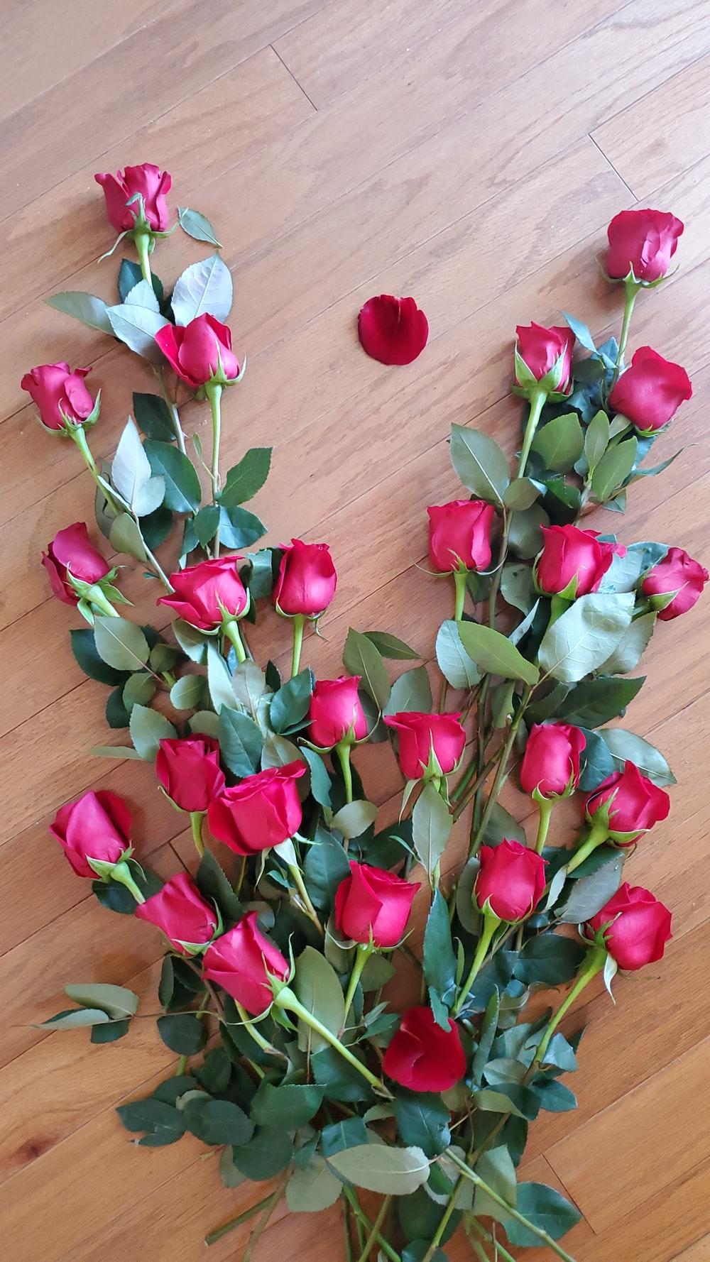 1000x1778 Red Roses Bouquet Picture. Download Free Image