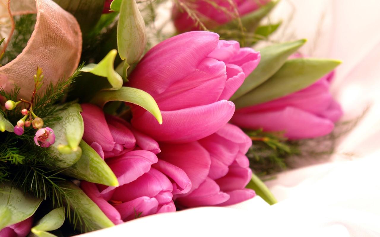 1280x800 Fancy Pink Flowers Wallpaper 3D Models. Free