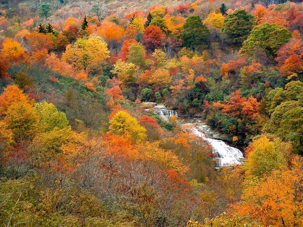 Second fall. Autumn Meadow Color. Wallpaper Blue Ridge.