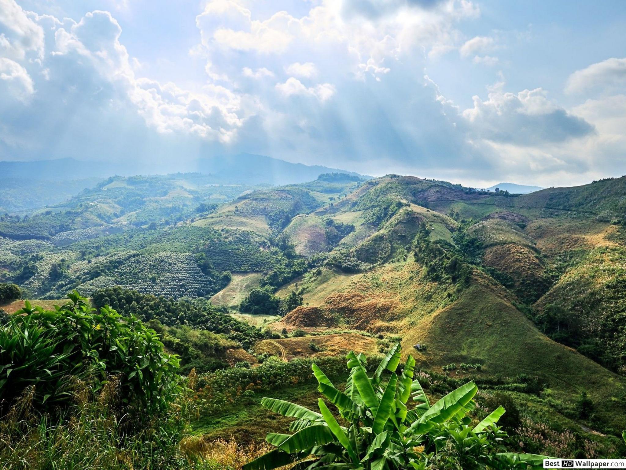 Jungle mountains. Море джунгли горы. Горы в джунглях. Горы острова джунгли. Вид из джунглей на горы.