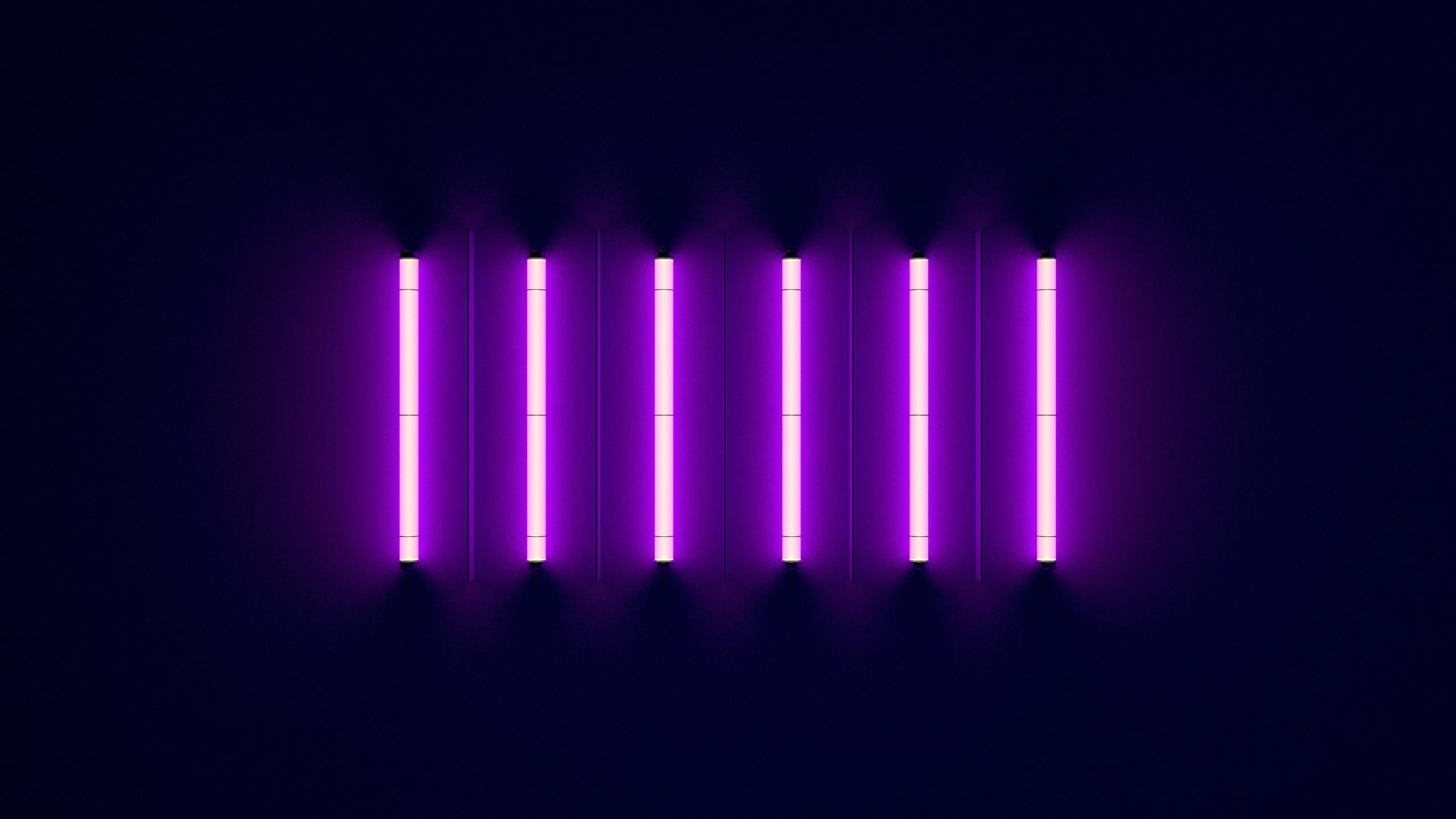 2560x1440 Purple Neon Wallpaper For Tech