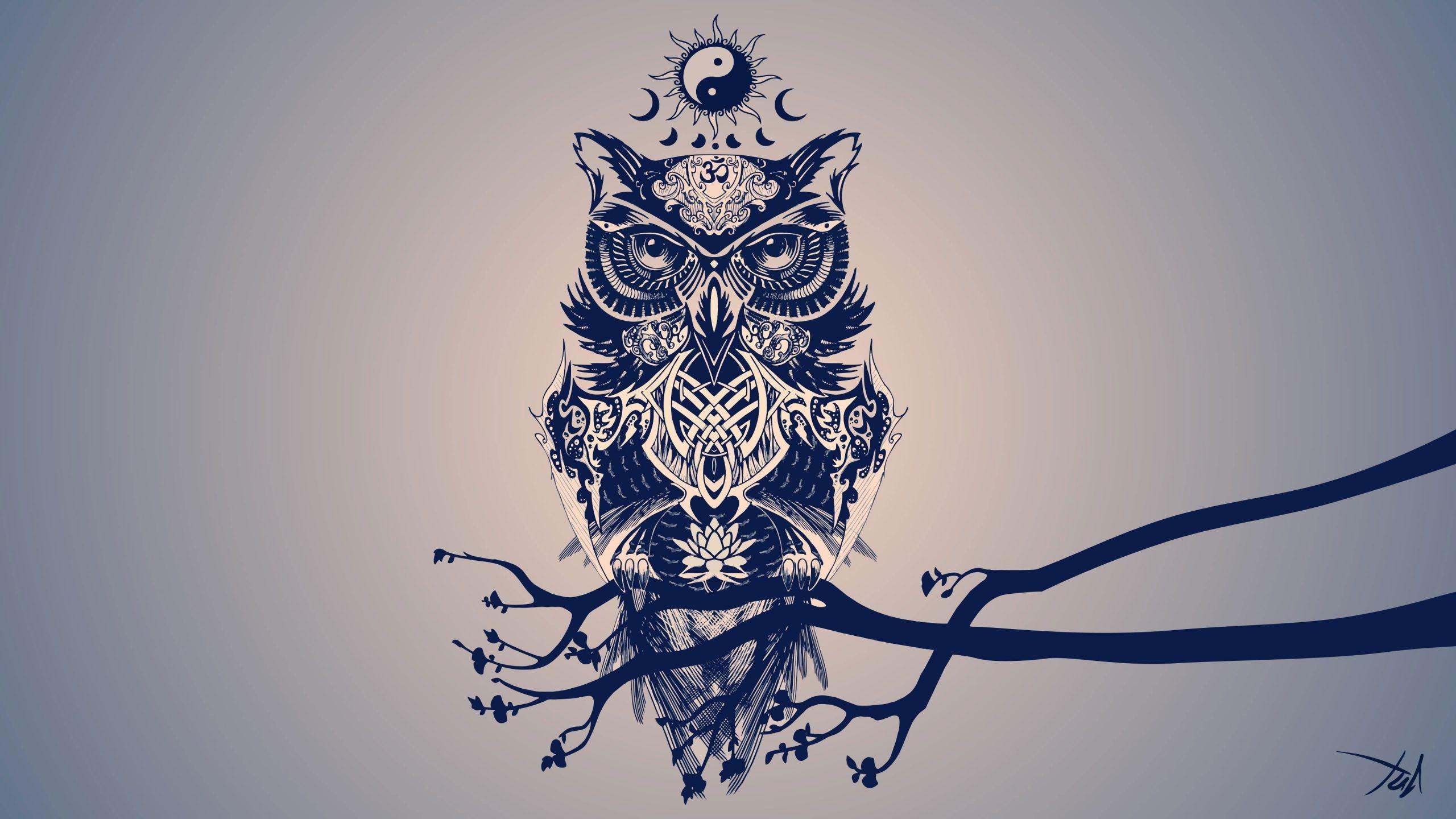 2560x1440 Owl digital wallpaper, painting of owl, minimalism, digital art • Wallpaper For You HD Wallpaper For Desktop & Mobile