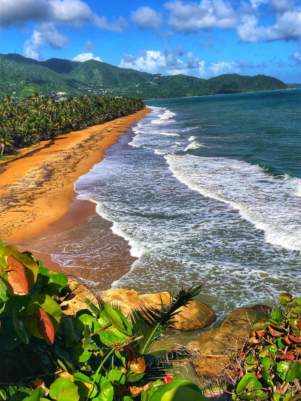 1000x1333 Puerto Rico Picture [HD]. Download Free Image