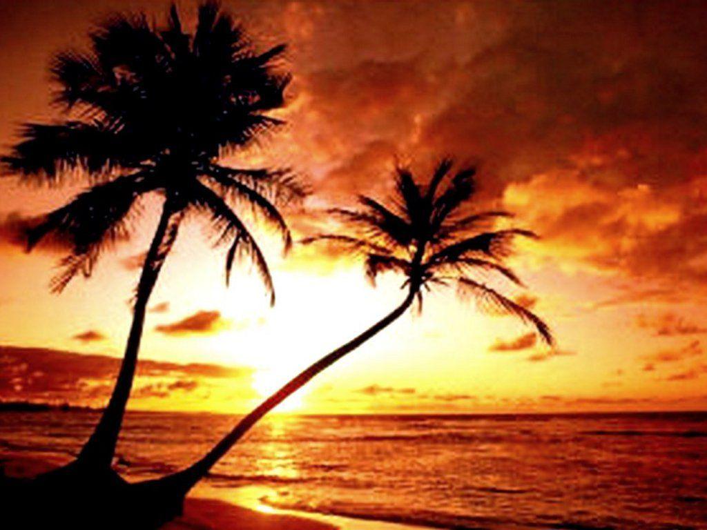 1024x768 Tropical island sunset quotes Island sunset wallpaper top free island sunset background