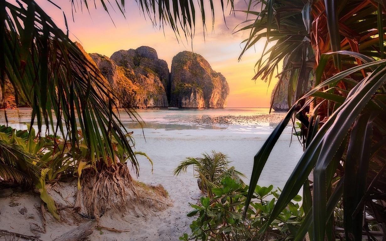 1230x768 nature, Landscape, Beach, Sunset, Palm Trees, Shrubs, Rock, Cliff, Sea, Sand, Leaves, Philippines, Tropical, Island Wallpaper HD / Desktop and Mobile Background
