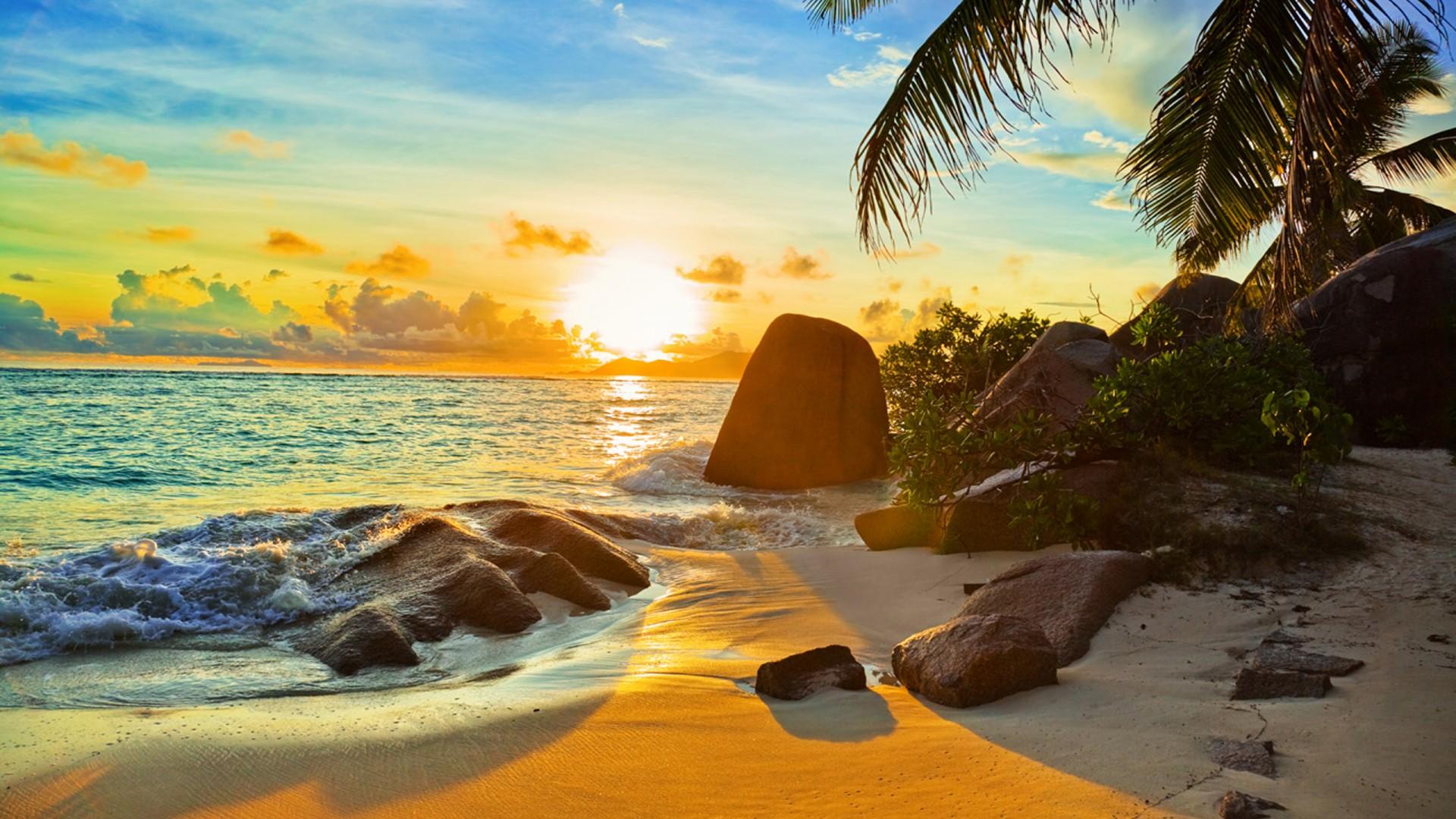 1920x1080 Tropical Island Birds