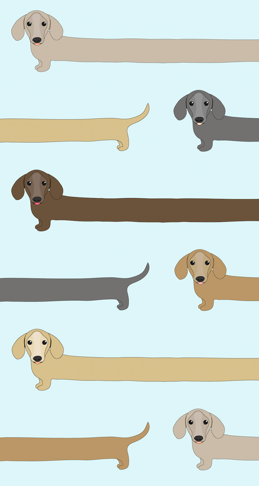 901x1688 Sausage Dog Wallpaper