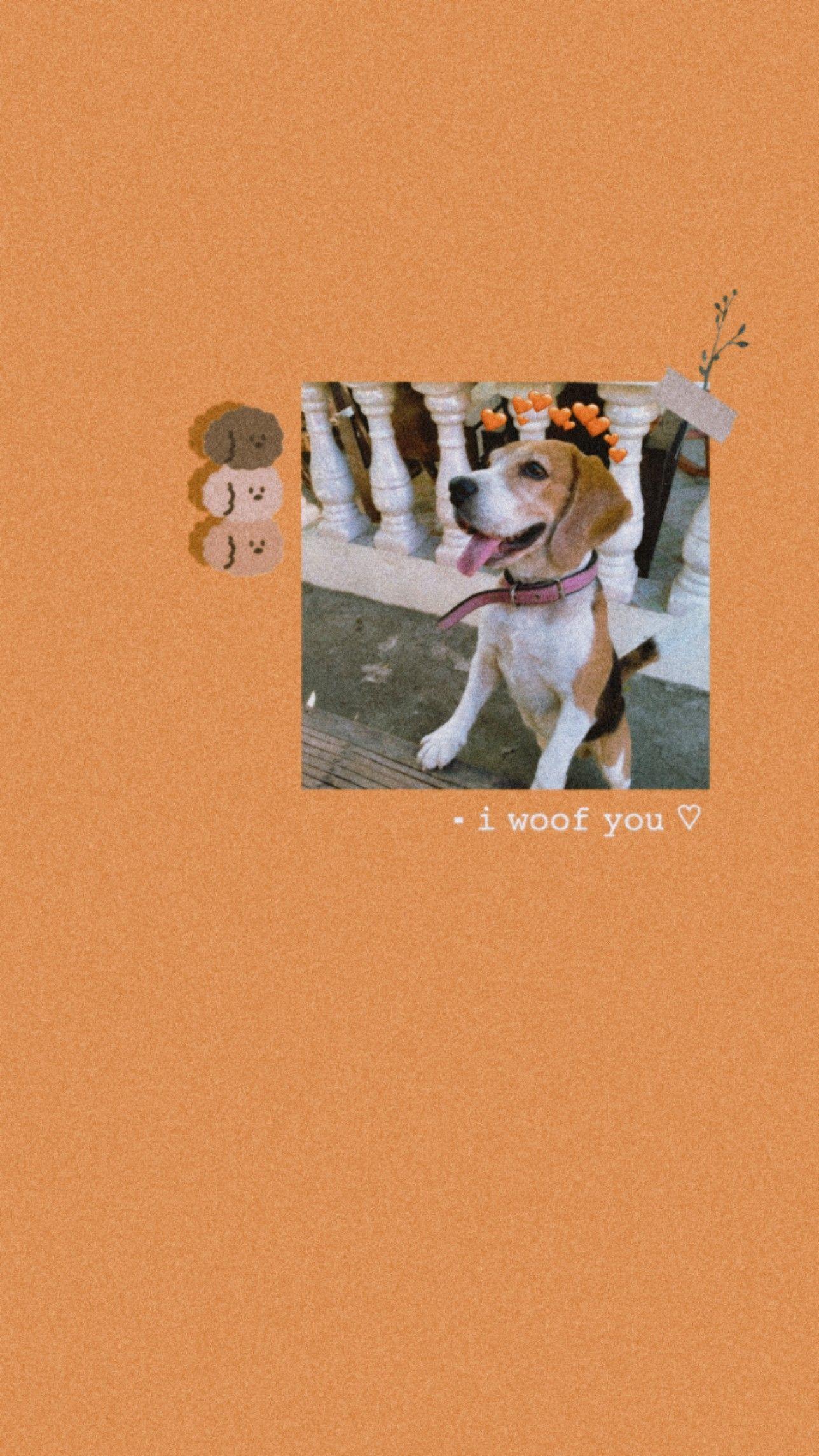 1288x2289 aesthetic dog wallpaper (beagle). Animales y mascotas, Mascotas, Animales