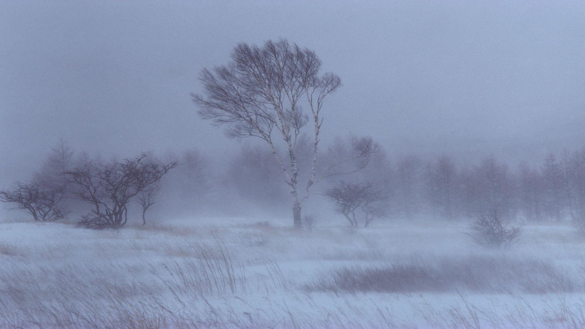 1920x1080 Snow Storm Wallpaper