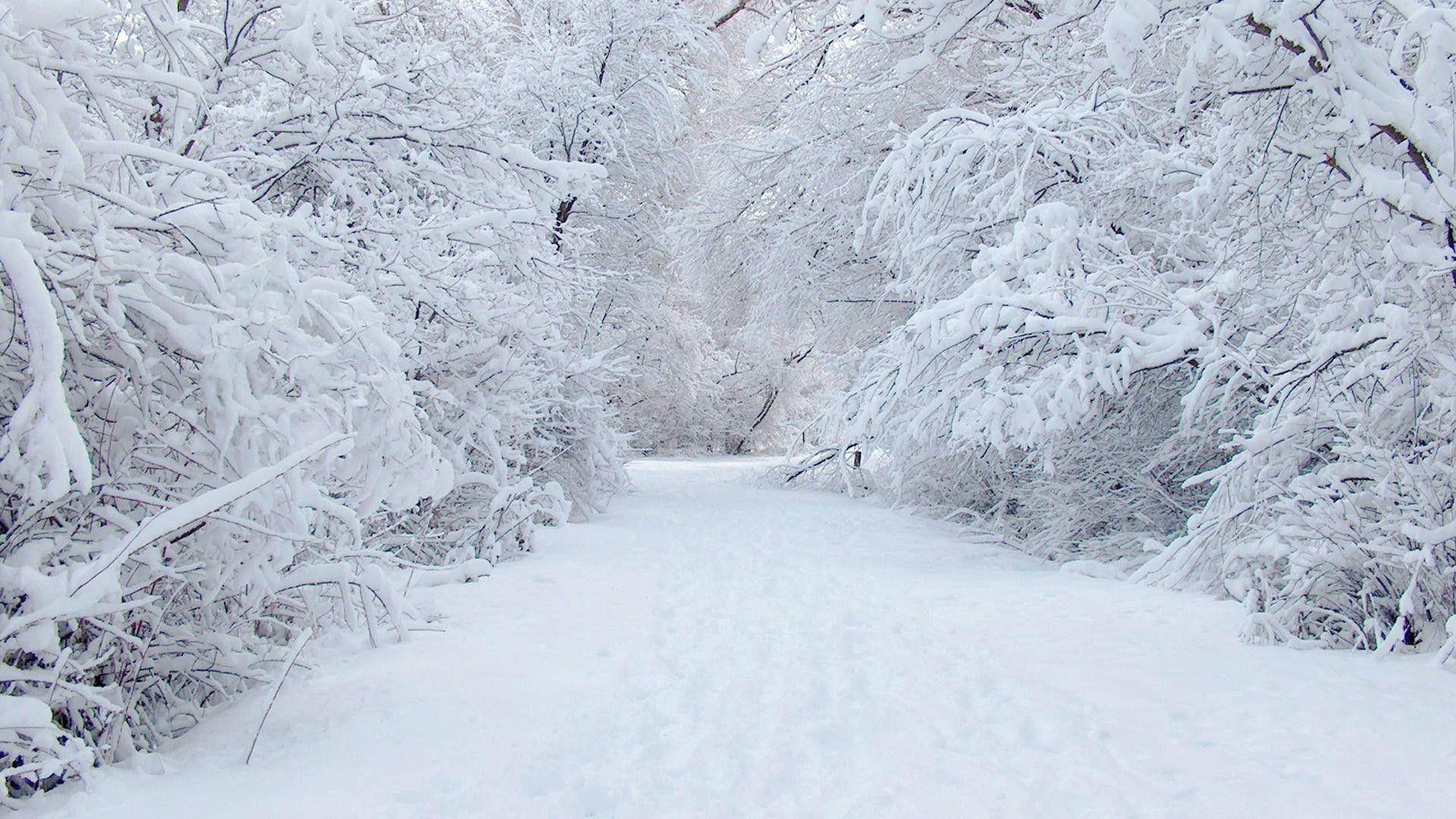 1920x1080 Snow Storm Wallpaper, HD Snow Storm Background