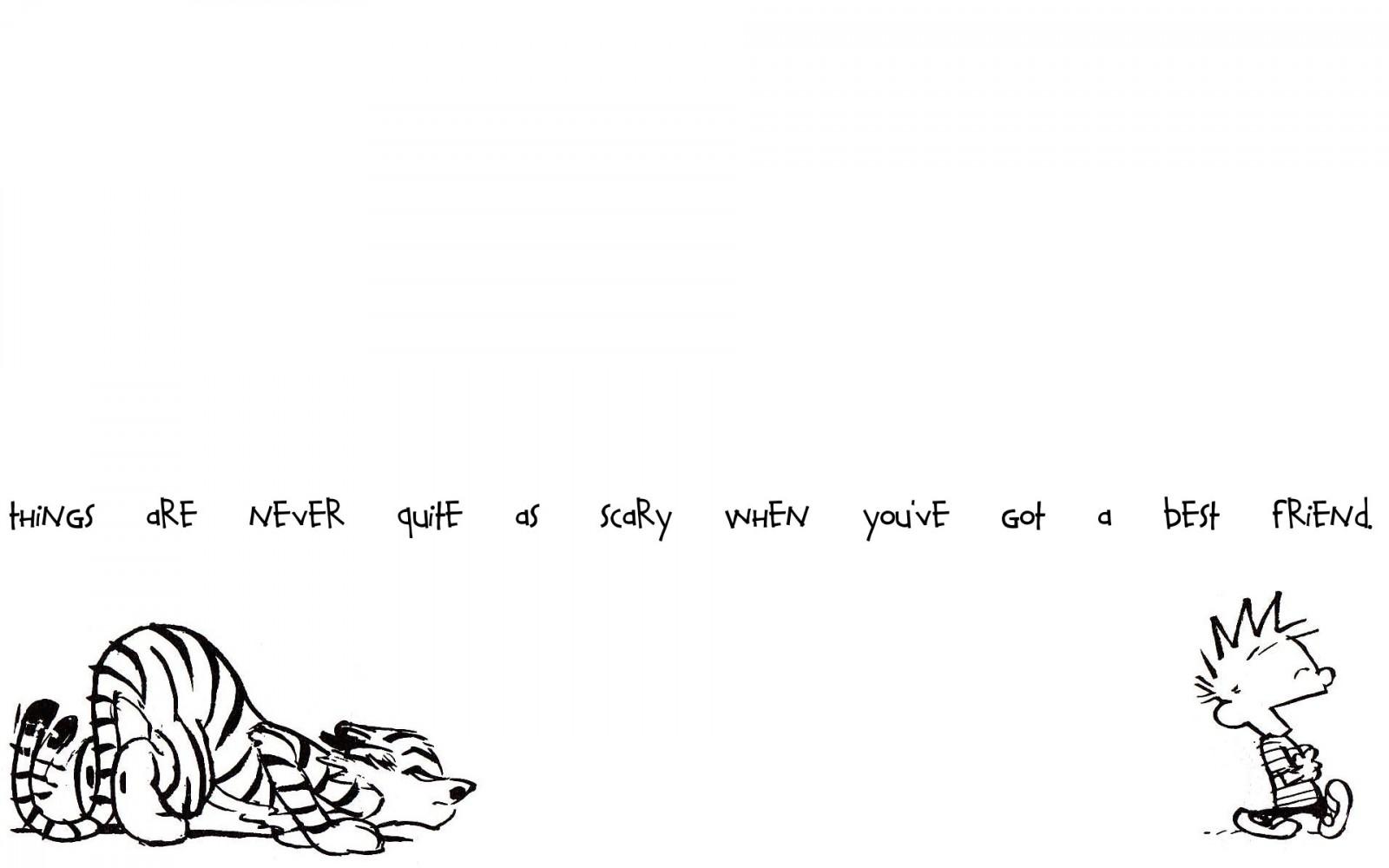 1600x1000 Calvin and Hobbes HD wallpaper, Background