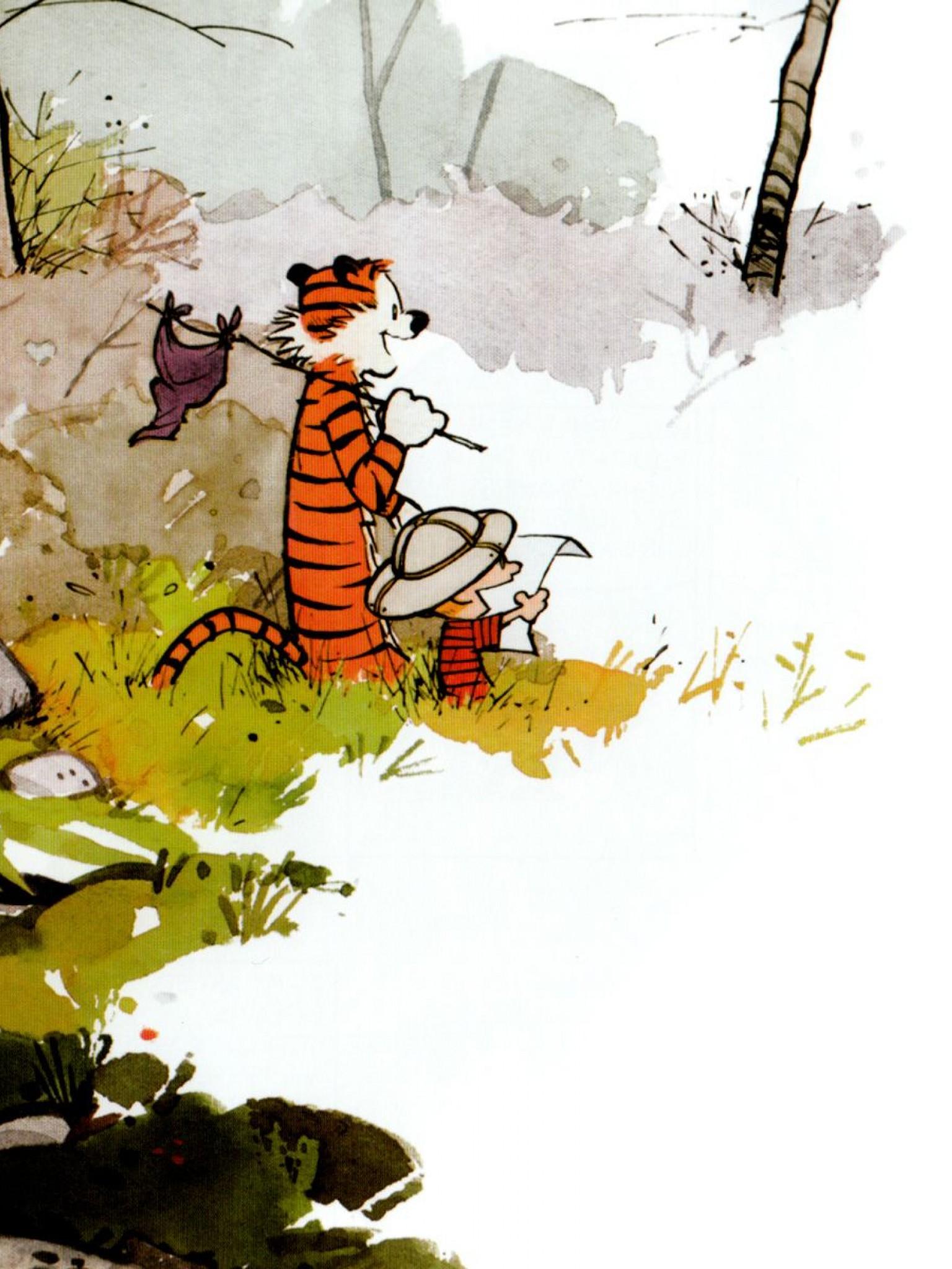 1536x2048 Calvin And Hobbes HD Wallpaper Retina iPad