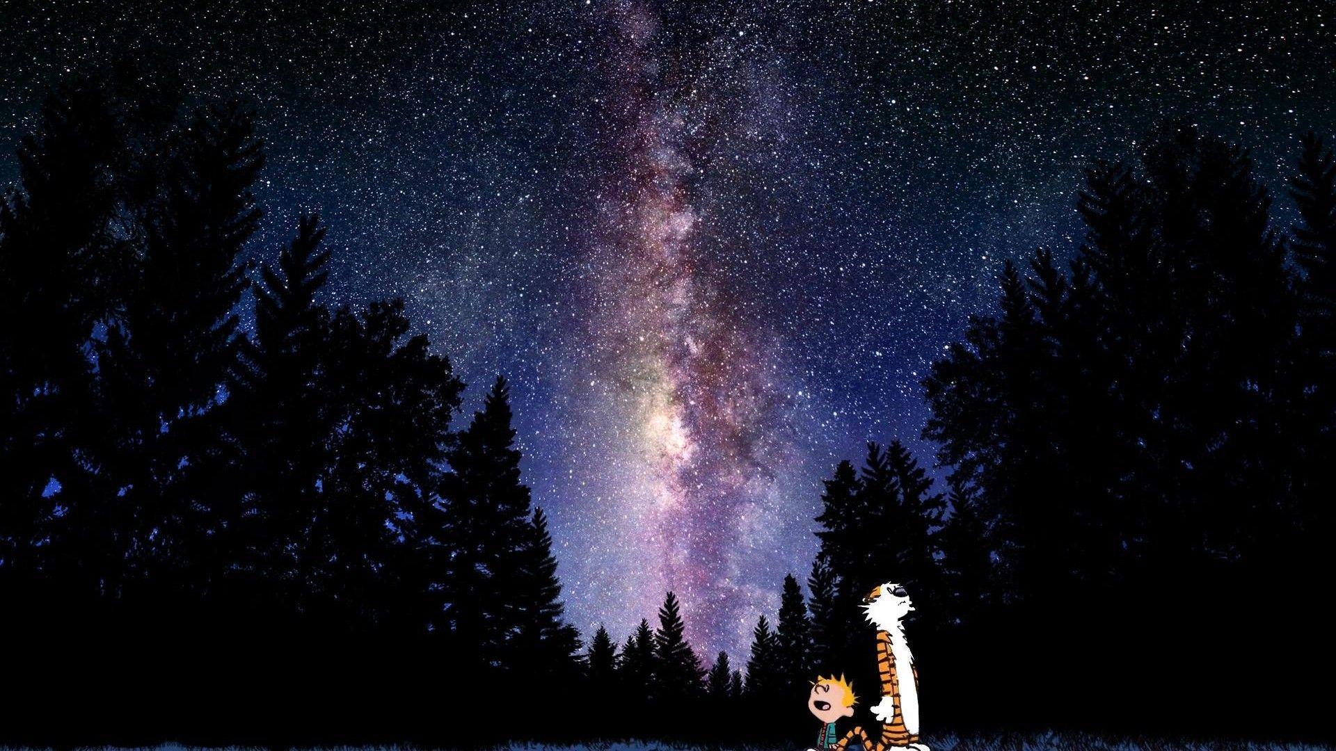 1920x1080 Calvin And Hobbes Comics Sky Stars Mood Sci Fi G Wallpaper