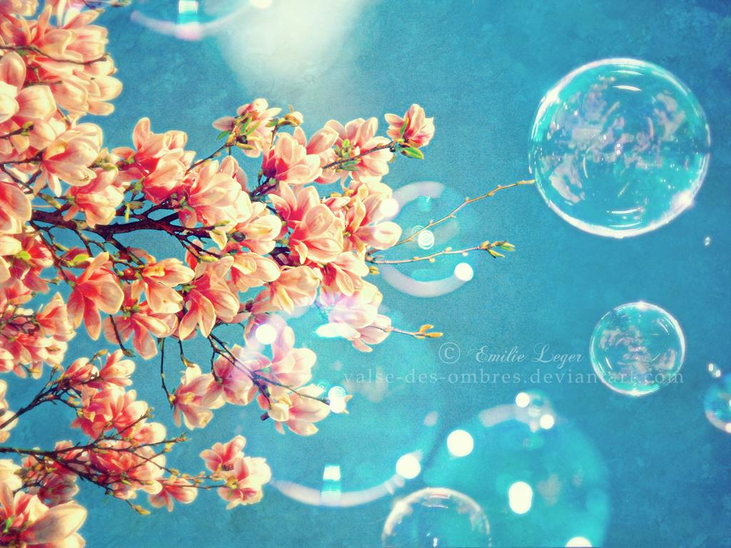 1024x768 Spring The Season of Renewal for Life