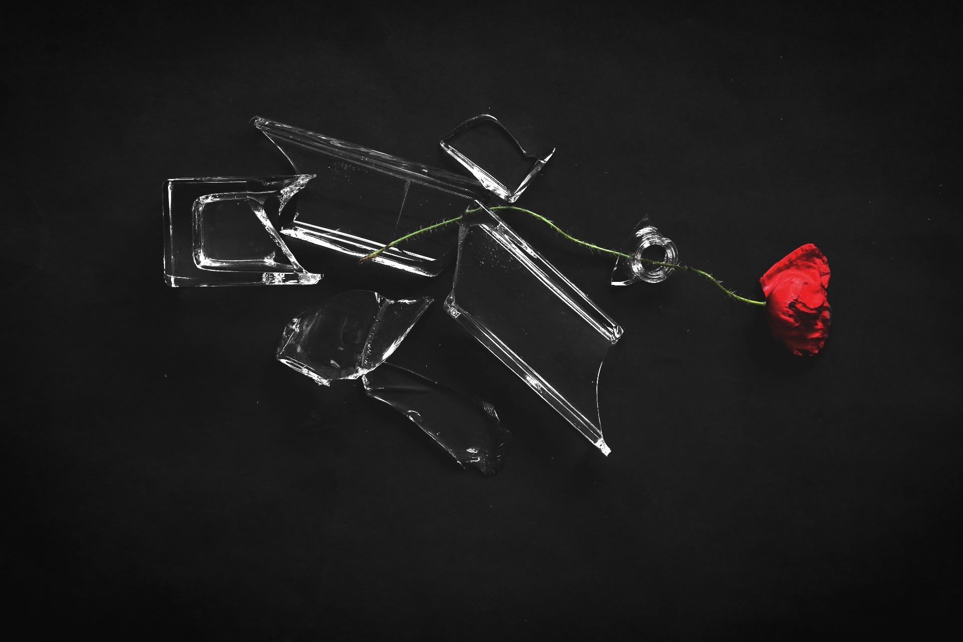 1920x1280 Glass Broken Glass Flowers Plants Red