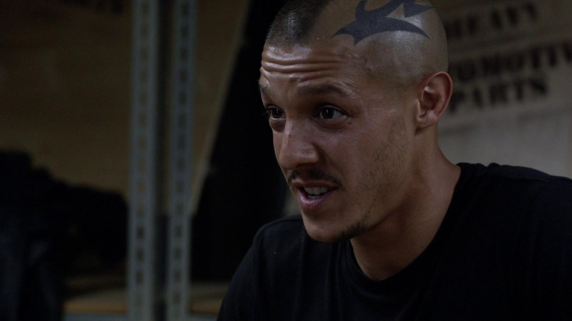 1920x1080 Dorylus (2011)