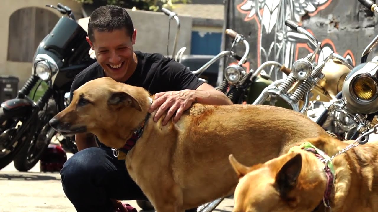 1280x720 Theo Rossi HD Wallpaper