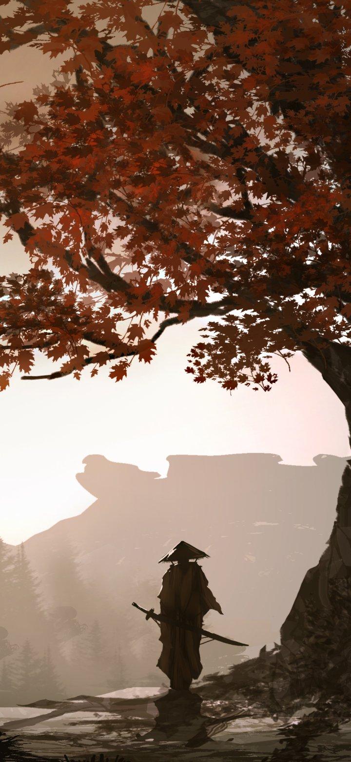 Samurai Autumn Wallpapers - Top Free Samurai Autumn Backgrounds