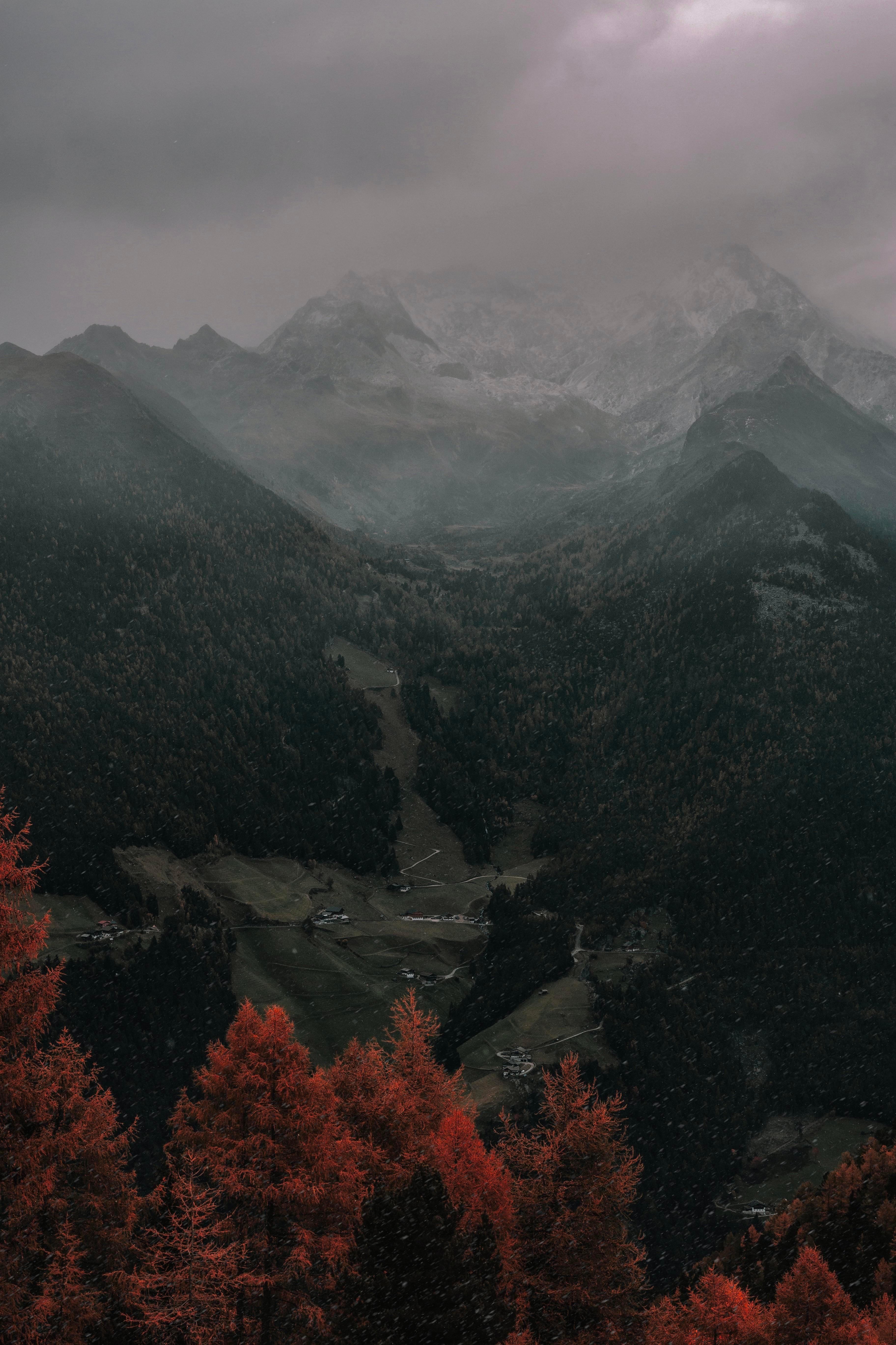 3648x5472 Gloomy Autumn Wallpaper: iWallpaper