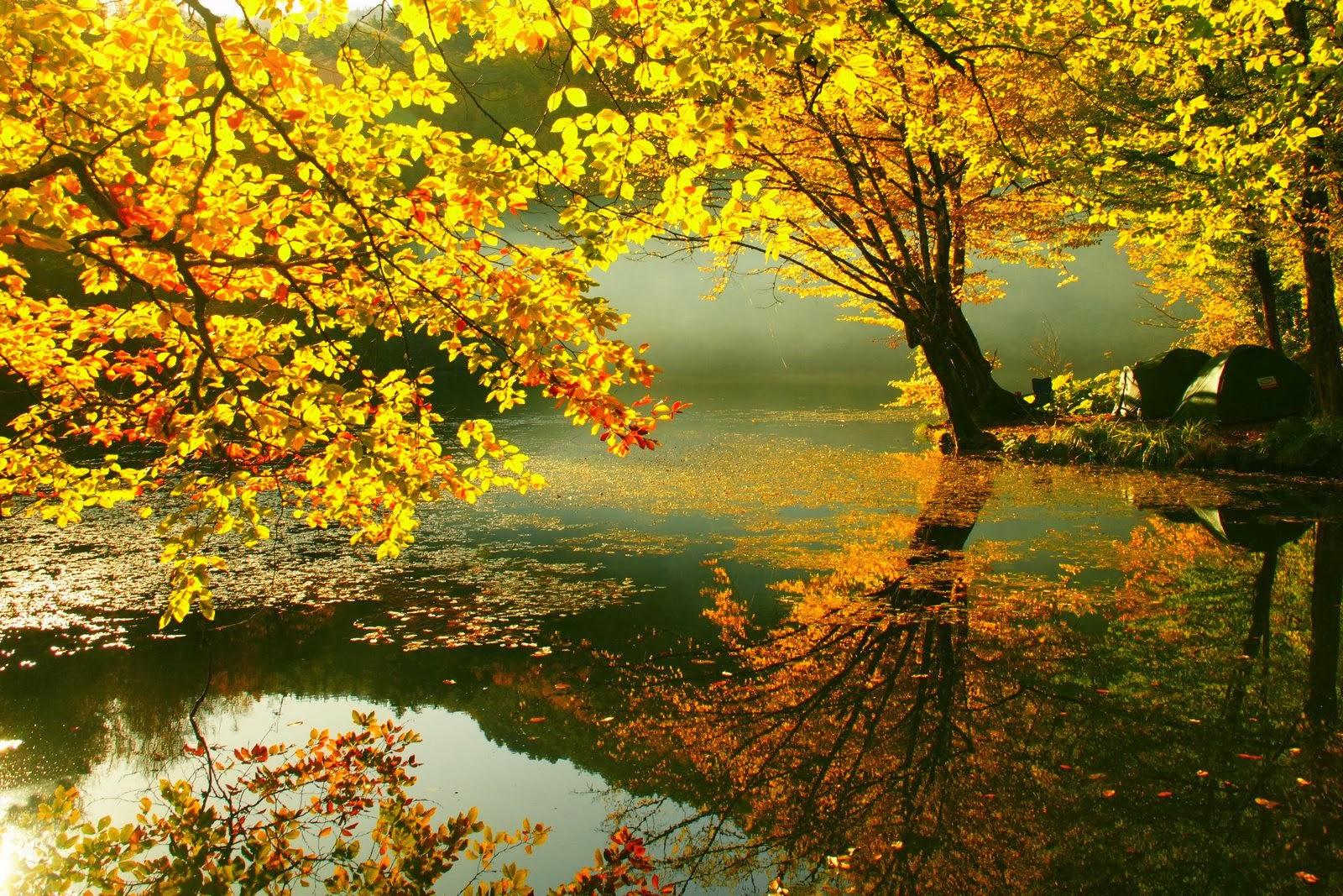 1600x1067 Free download Beautiful Autumn Wallpaper Most beautiful places in the [1600x1067] for your Desktop, Mobile & Tablet. Explore Fall Pics For Wallpaper. Cute Pics For Wallpaper, Use Picture As