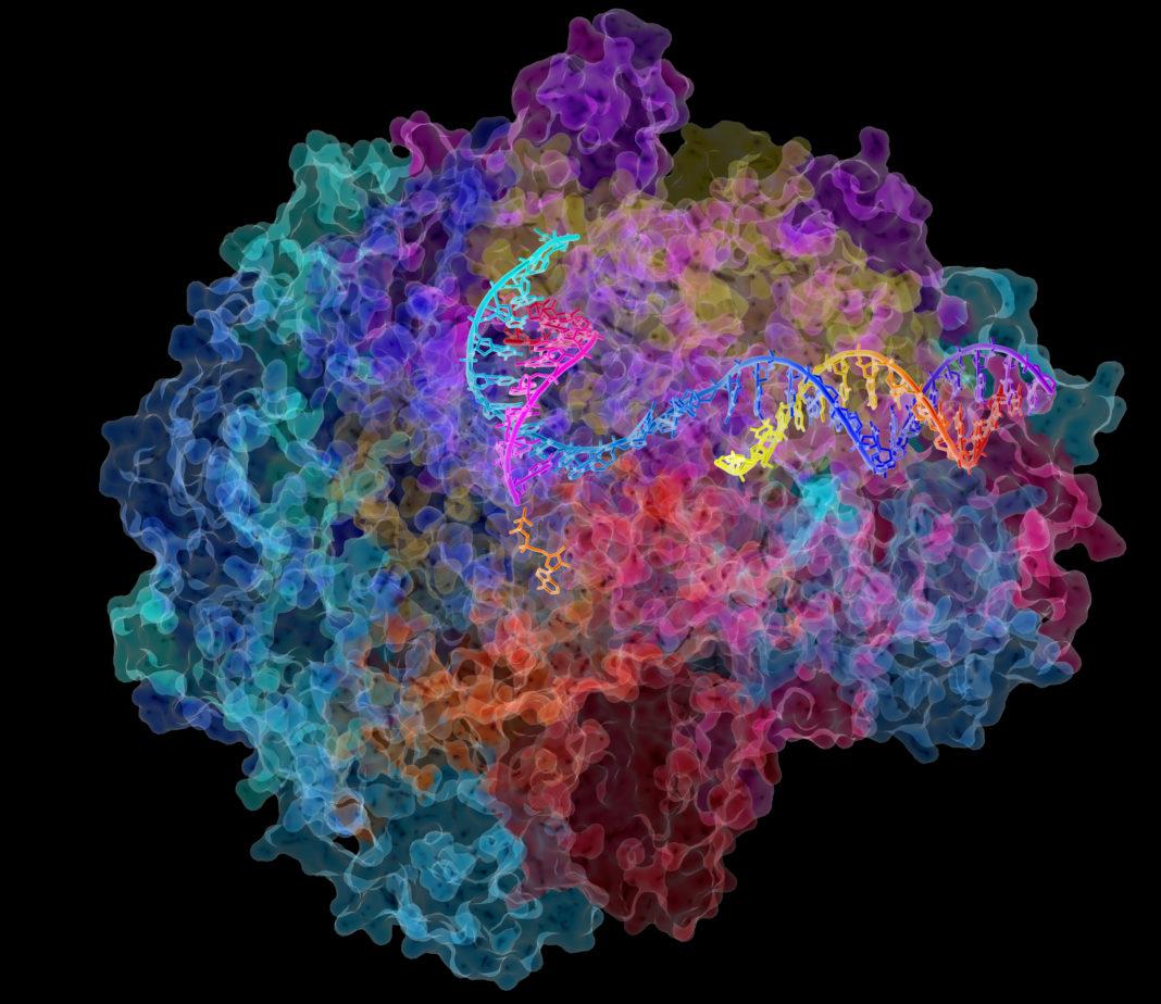 1068x924 Neurological Disorders. GEN Engineering and Biotechnology News