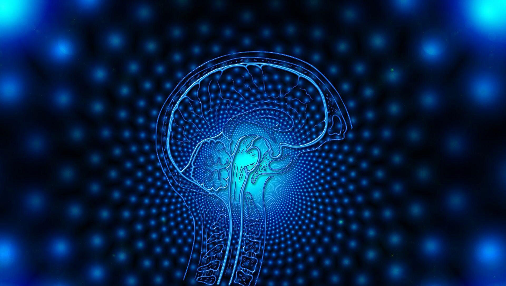 Neurological Wallpapers - Top Free Neurological Backgrounds