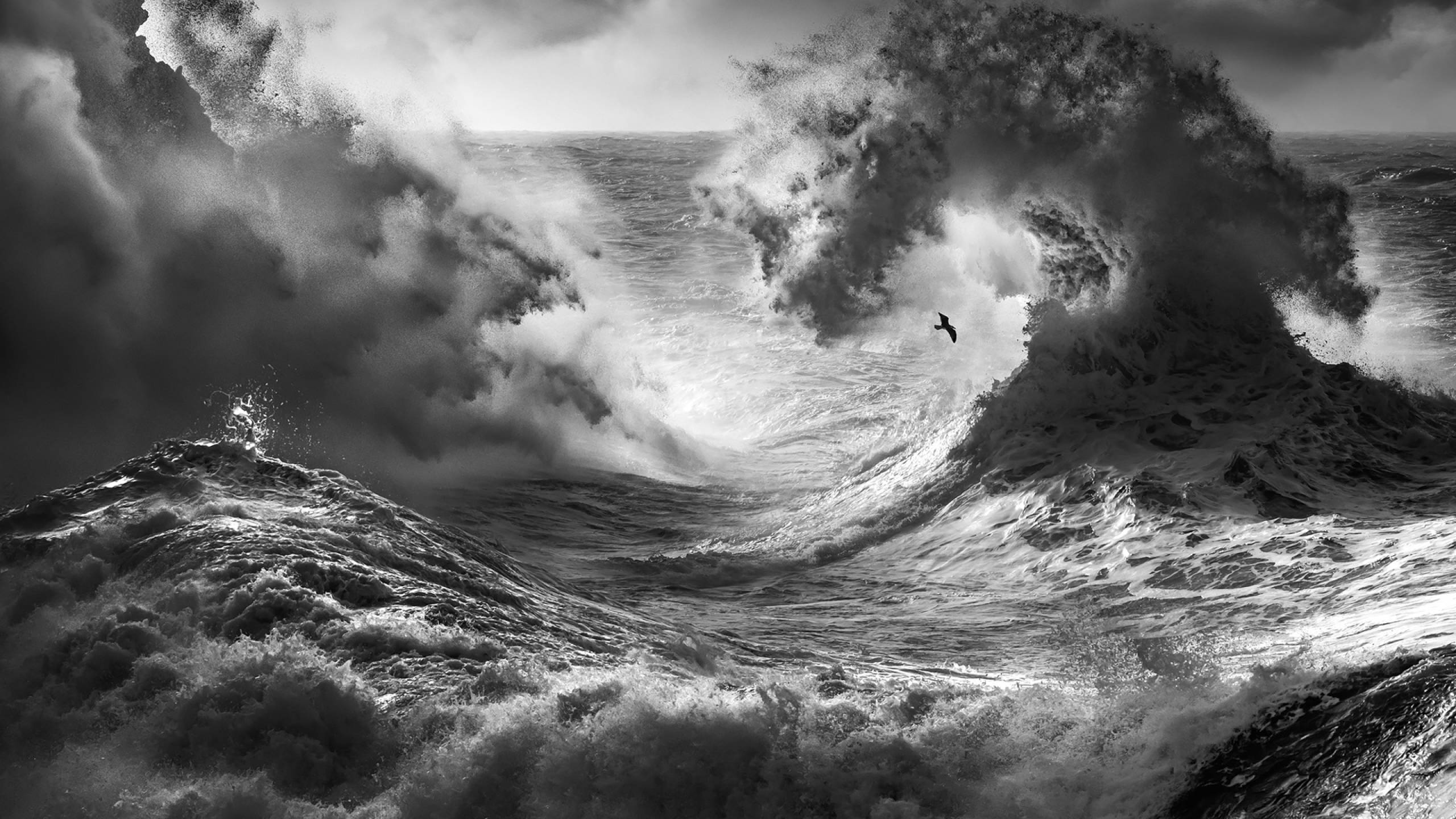 2560x1440 Sea With Big Waves Monochrome 1440P Resolution Wallpaper, HD Nature 4K Wallpaper, Image, Photo and Background