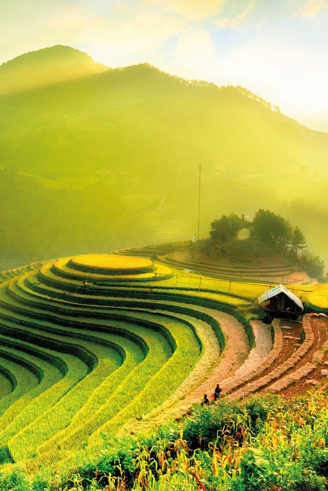 1126x1688 Vietnam