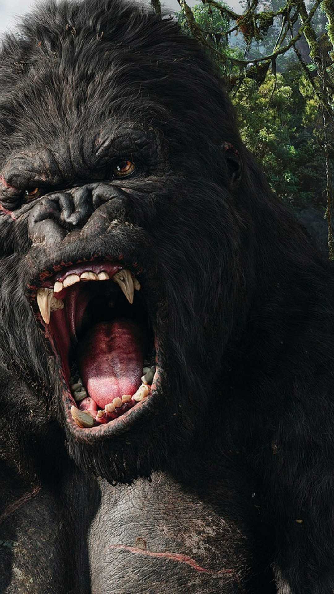 1080x1920 iPhone King Kong Wallpaper Free HD Wallpaper