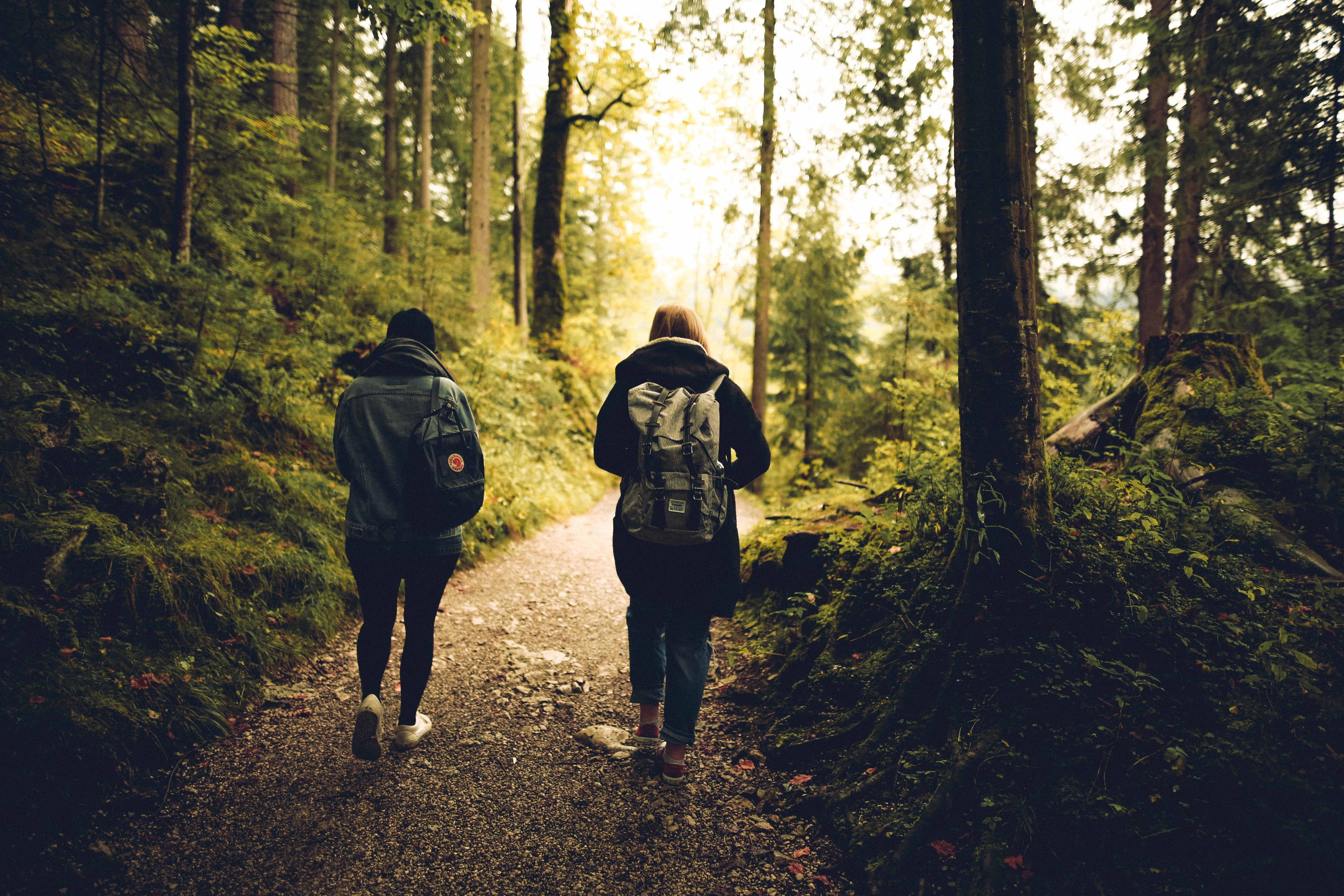 5760x3840 Two People Walking in the Forest · Free