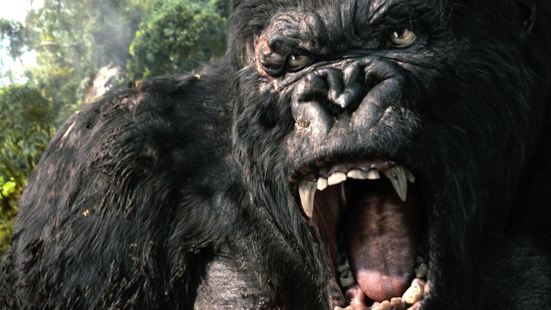 1920x1080 King Kong Wallpaper