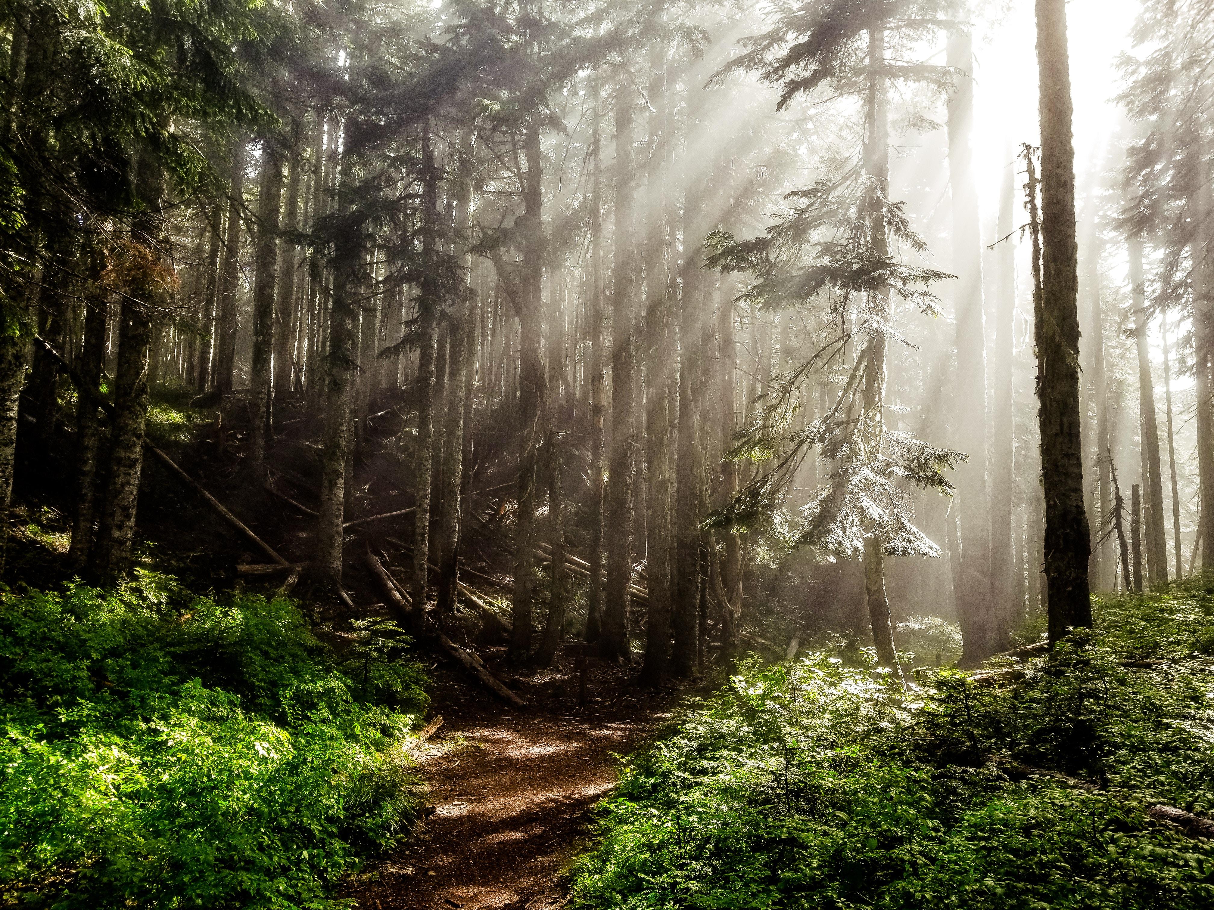 4032x3024 trail HD wallpaper, Background
