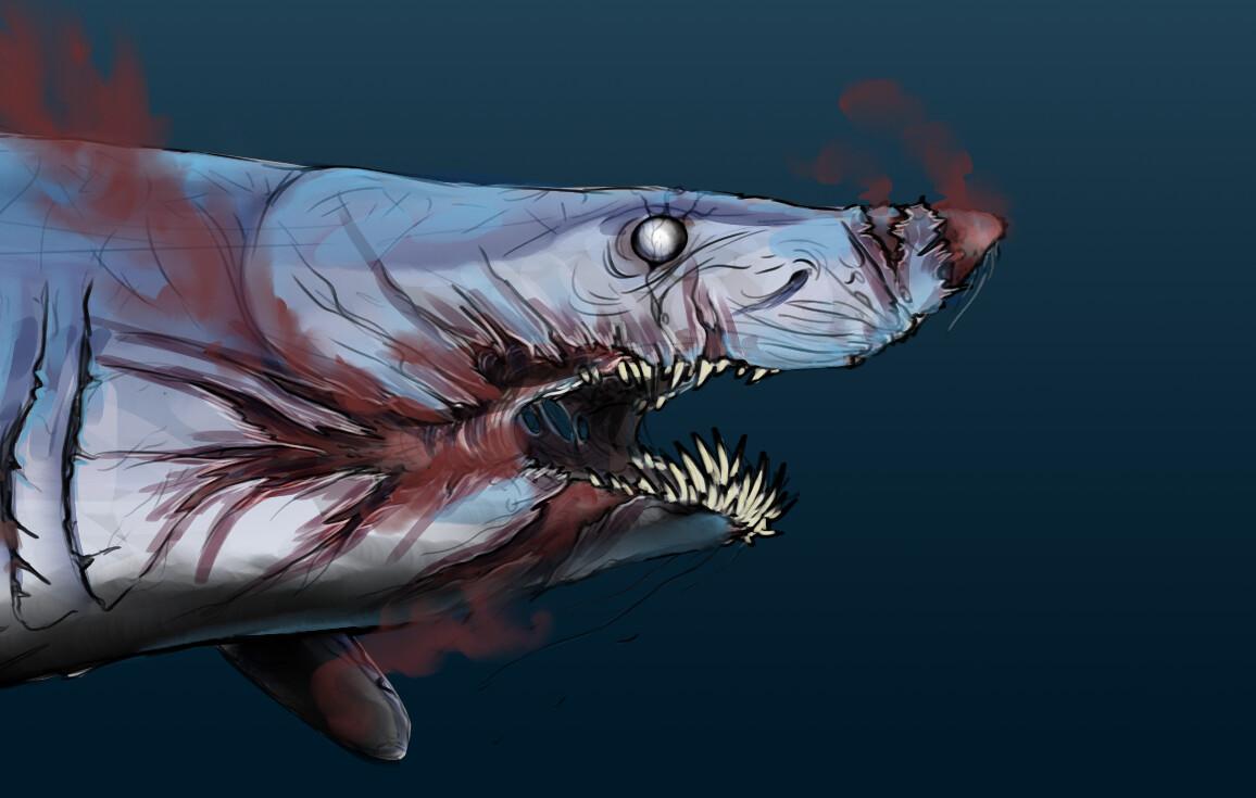 1156x735 Mako, Hemke Dekkers