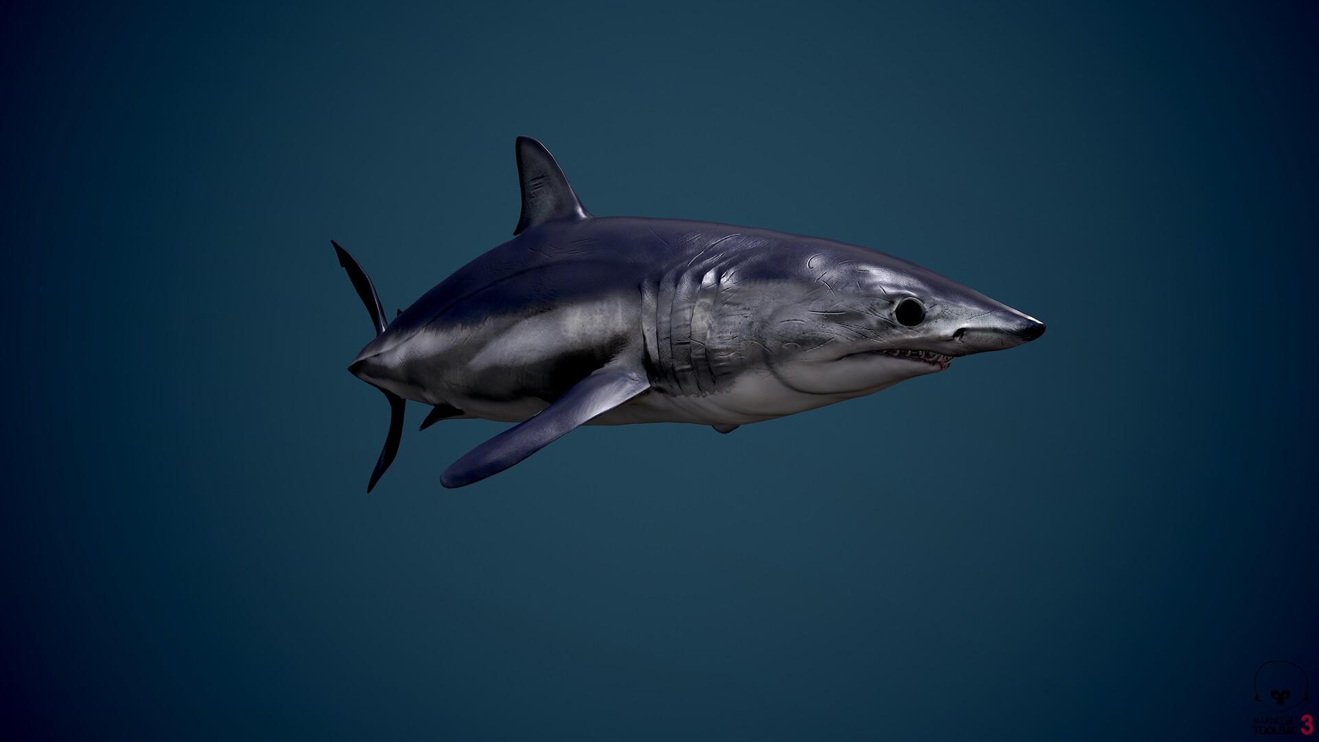 1920x1080 Short Fin Mako Shark, Nolan Jacobs
