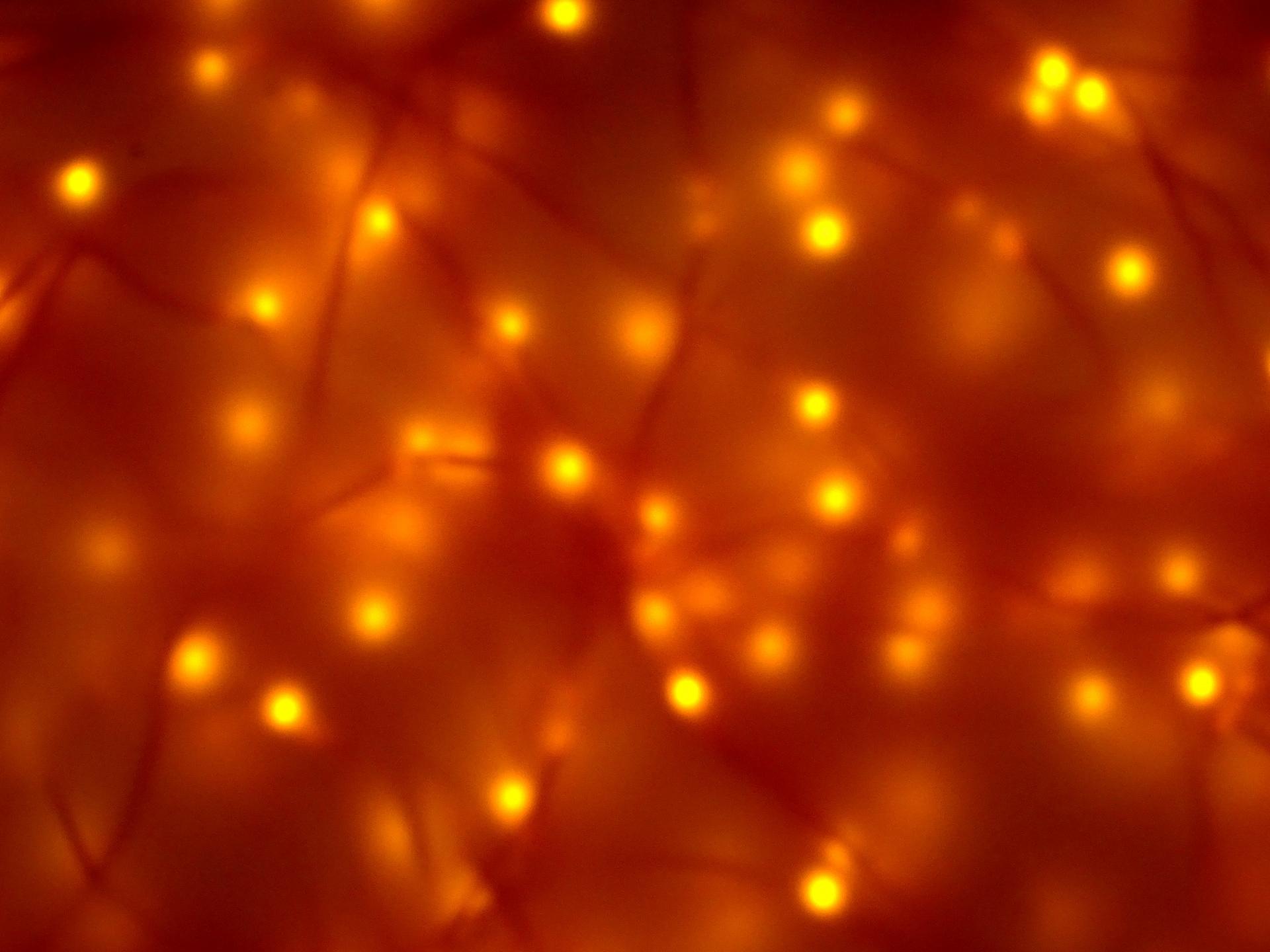 1920x1440 Orange Background Neon Free Photo Neon Orange Background