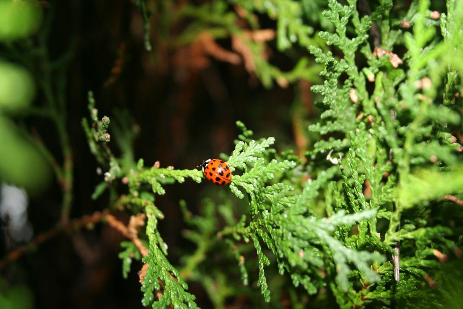 Cute Nature Wallpapers Top Free Cute Nature Backgrounds WallpaperAccess