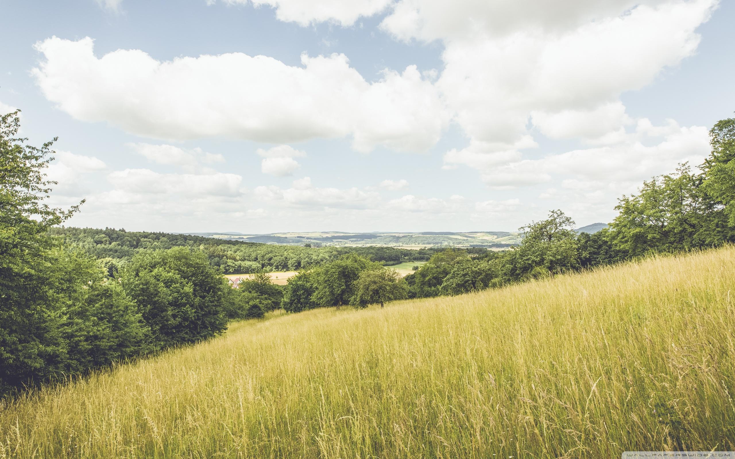2560x1600 Country Field Ultra HD Desktop Background Wallpaper for 4K UHD TV : Widescreen & UltraWide Desktop & Laptop : Tablet
