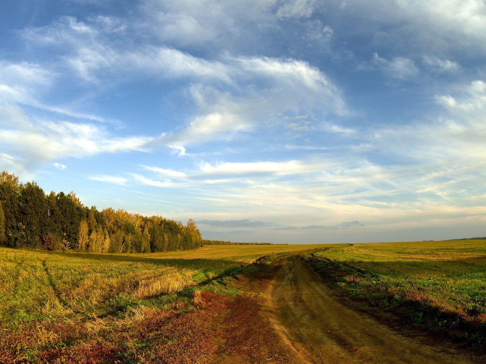 1600x1200 Download wallpaper 1600x1200 road, field, sky, clouds, blue, country, open spaces, trees, horizon, landscape standard 4:3 HD background